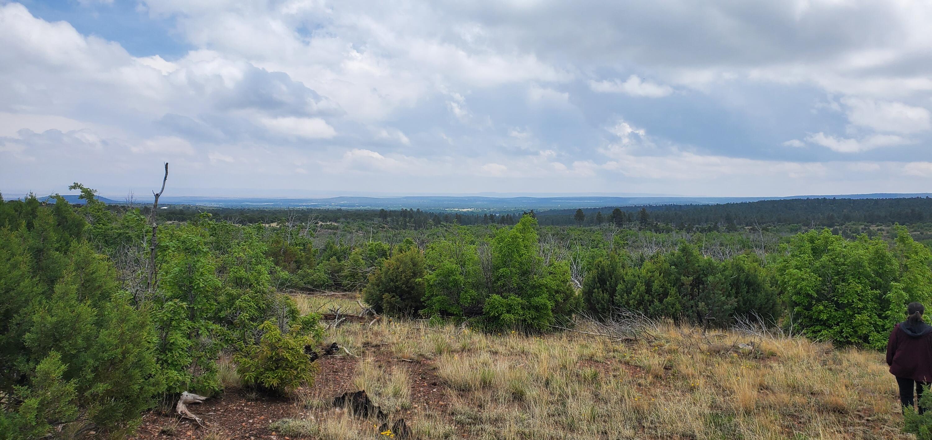 Photo 9 —  Capilla Peak Road
