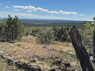 Photo 15 —  Capilla Peak Road