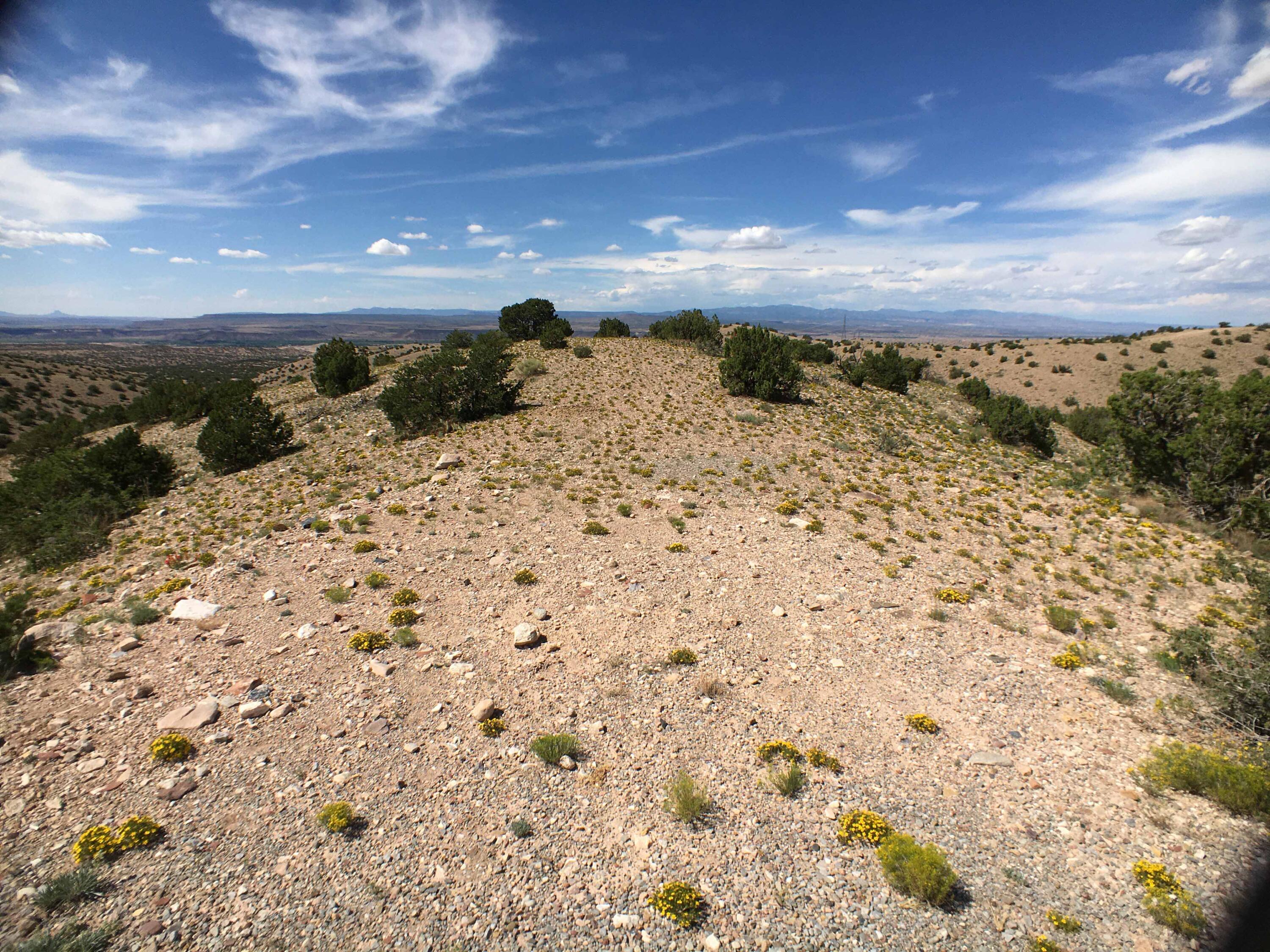 Photo 3 — Unit 3 Camino Halcon