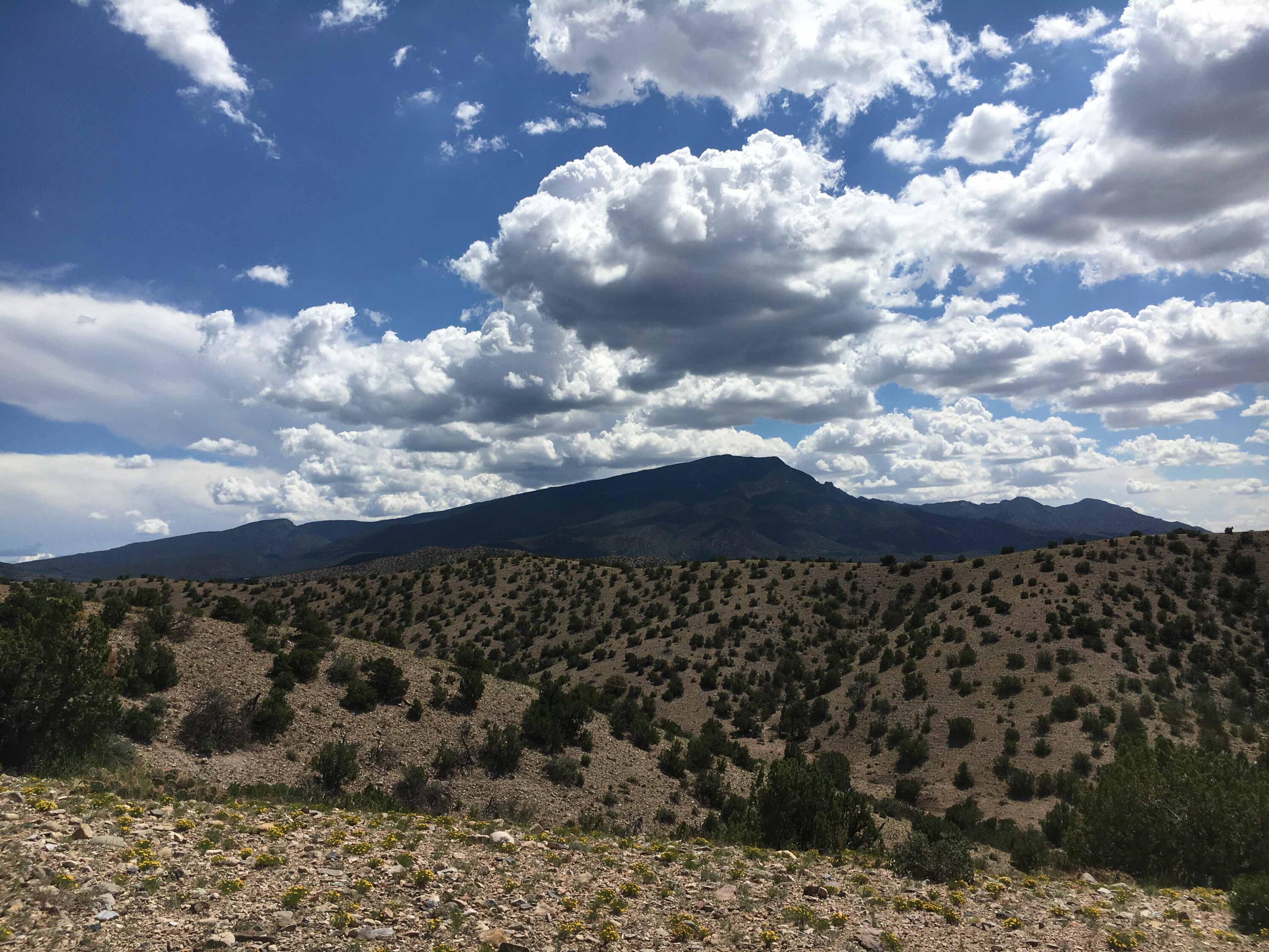 Photo 4 — Unit 3 Camino Halcon