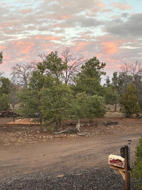 Photo 7 — 44 Brook Boulevard