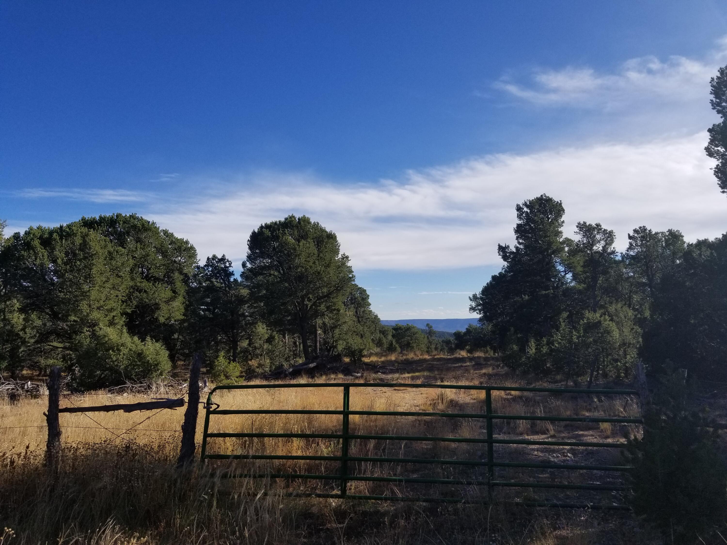  TBD Pecos, Pecos, NM 87552
