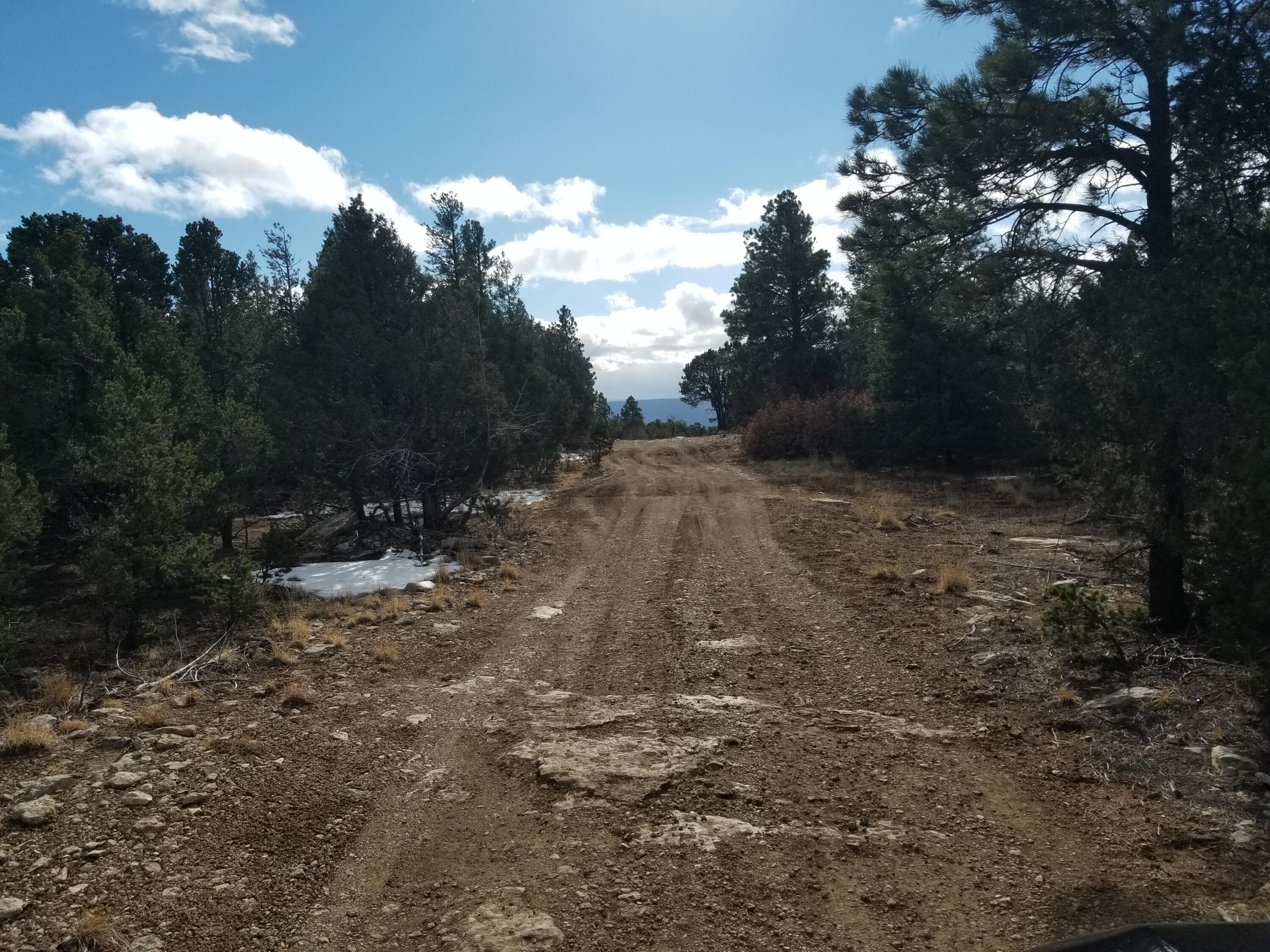 Photo 4 —  TBD Pecos