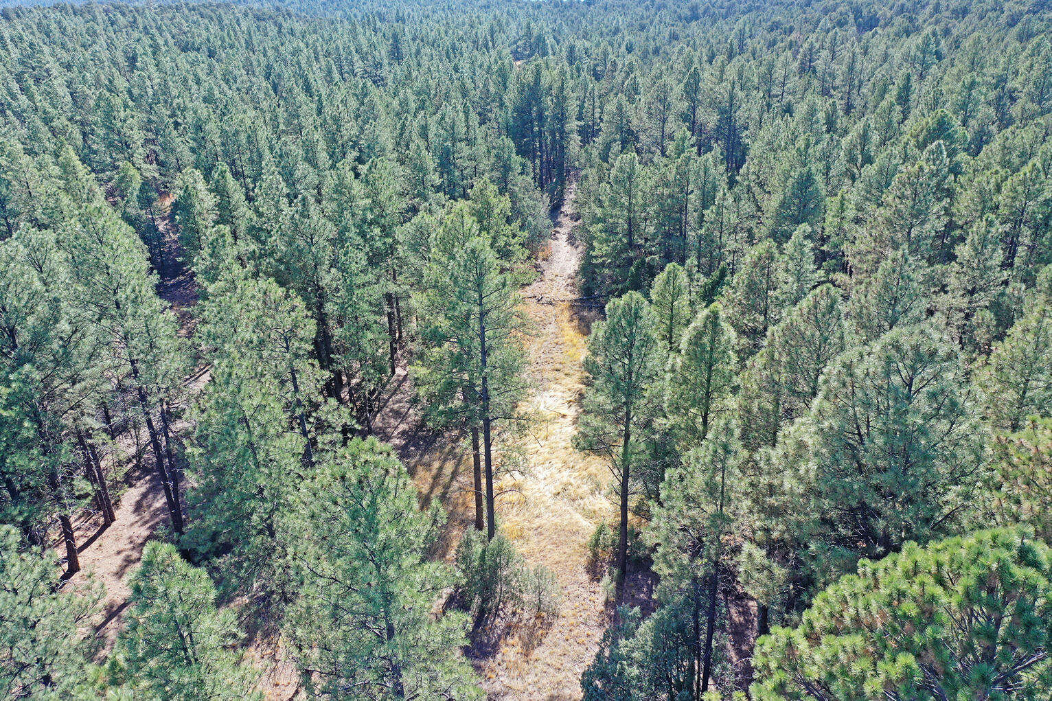 Photo 19 —  TBD Pecos