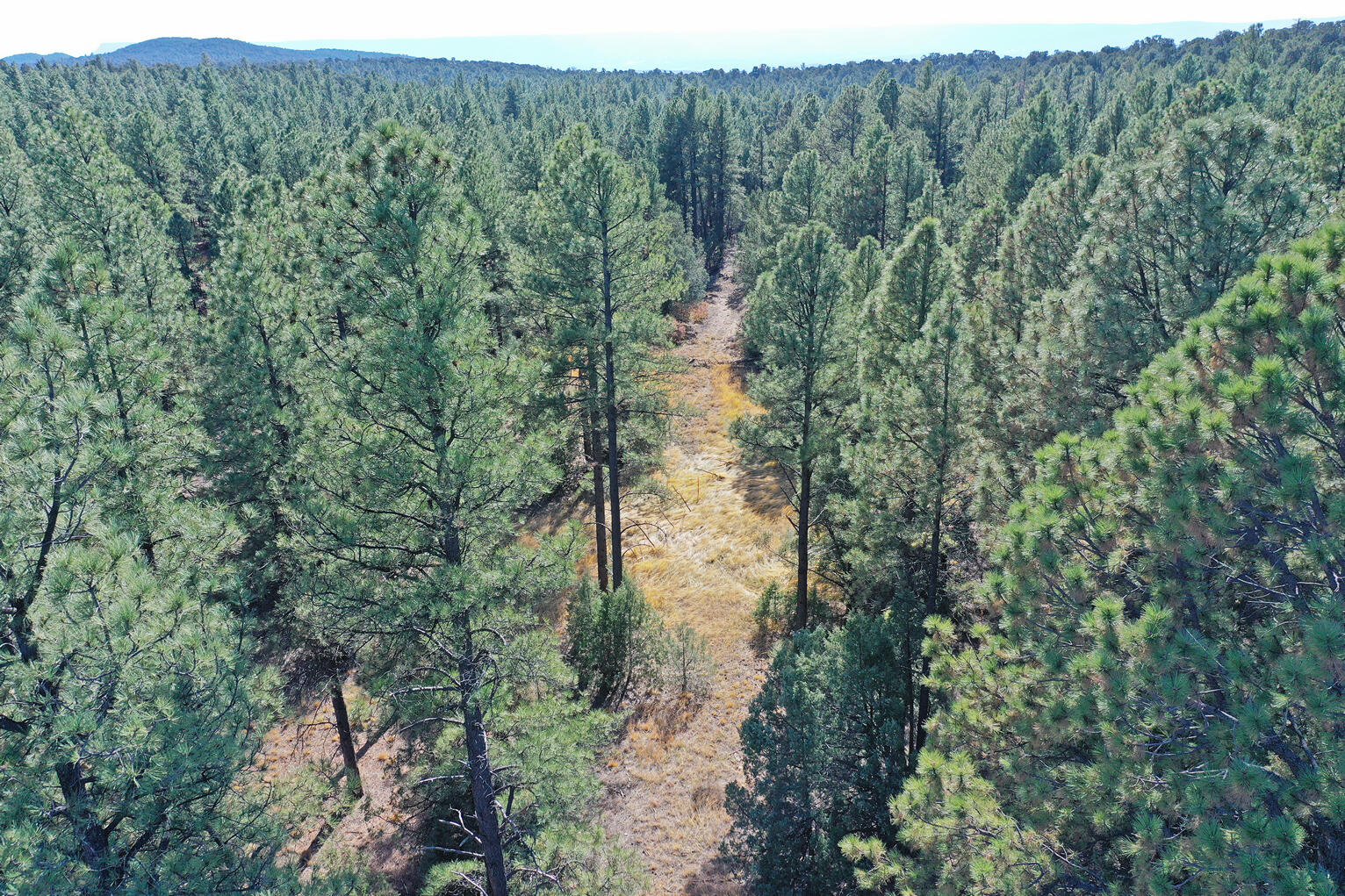Photo 18 —  TBD Pecos