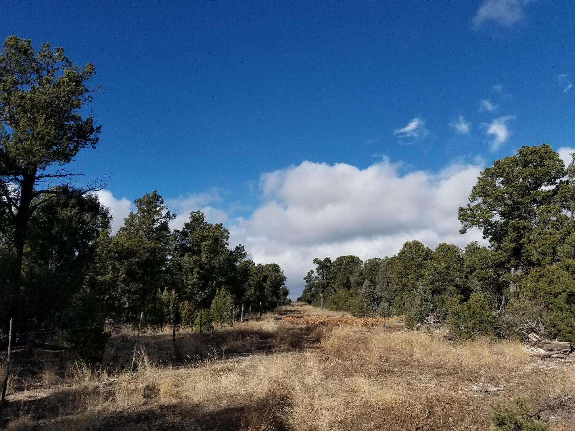 Photo 5 —  TBD Pecos