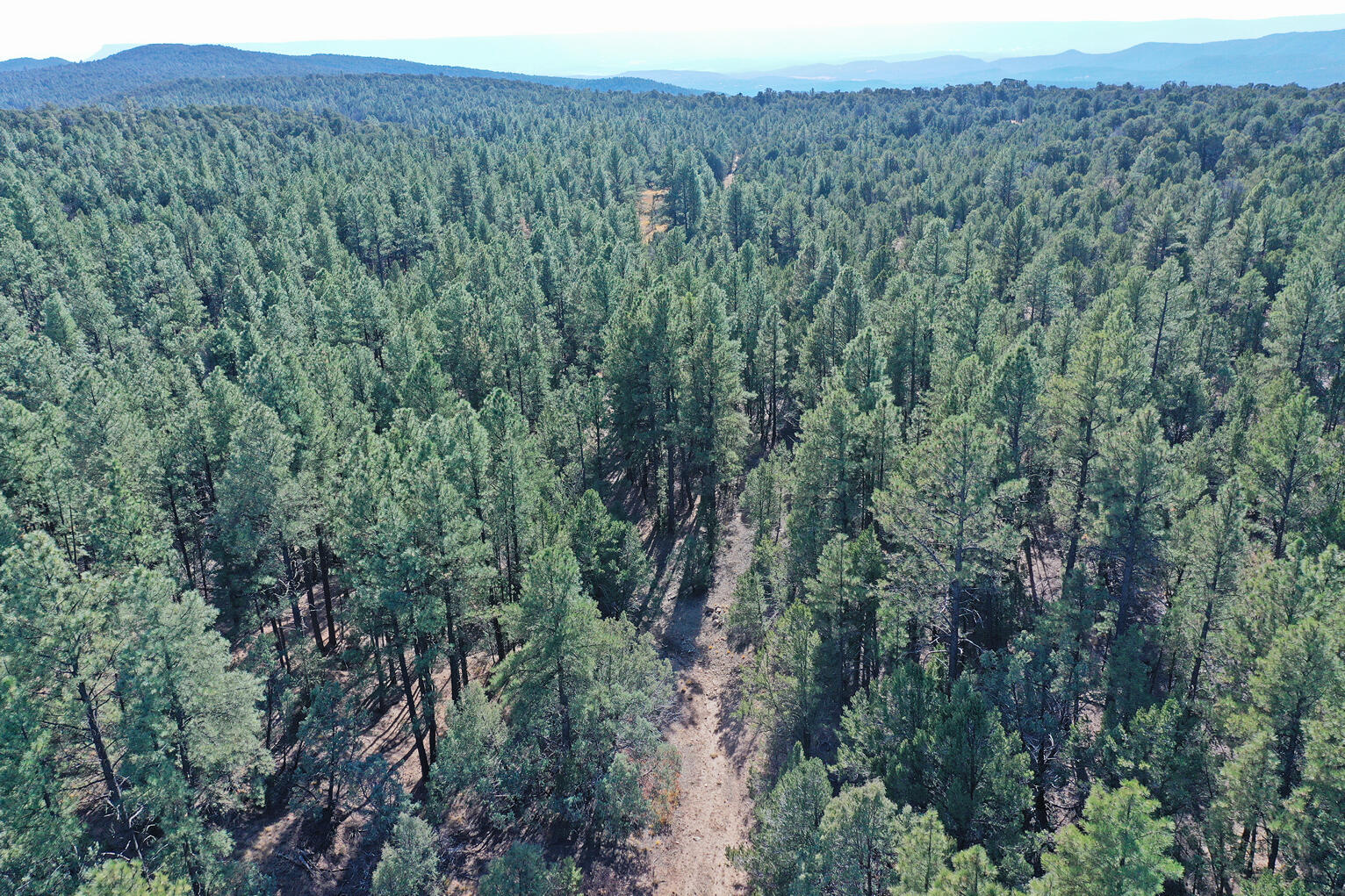 Photo 17 —  TBD Pecos