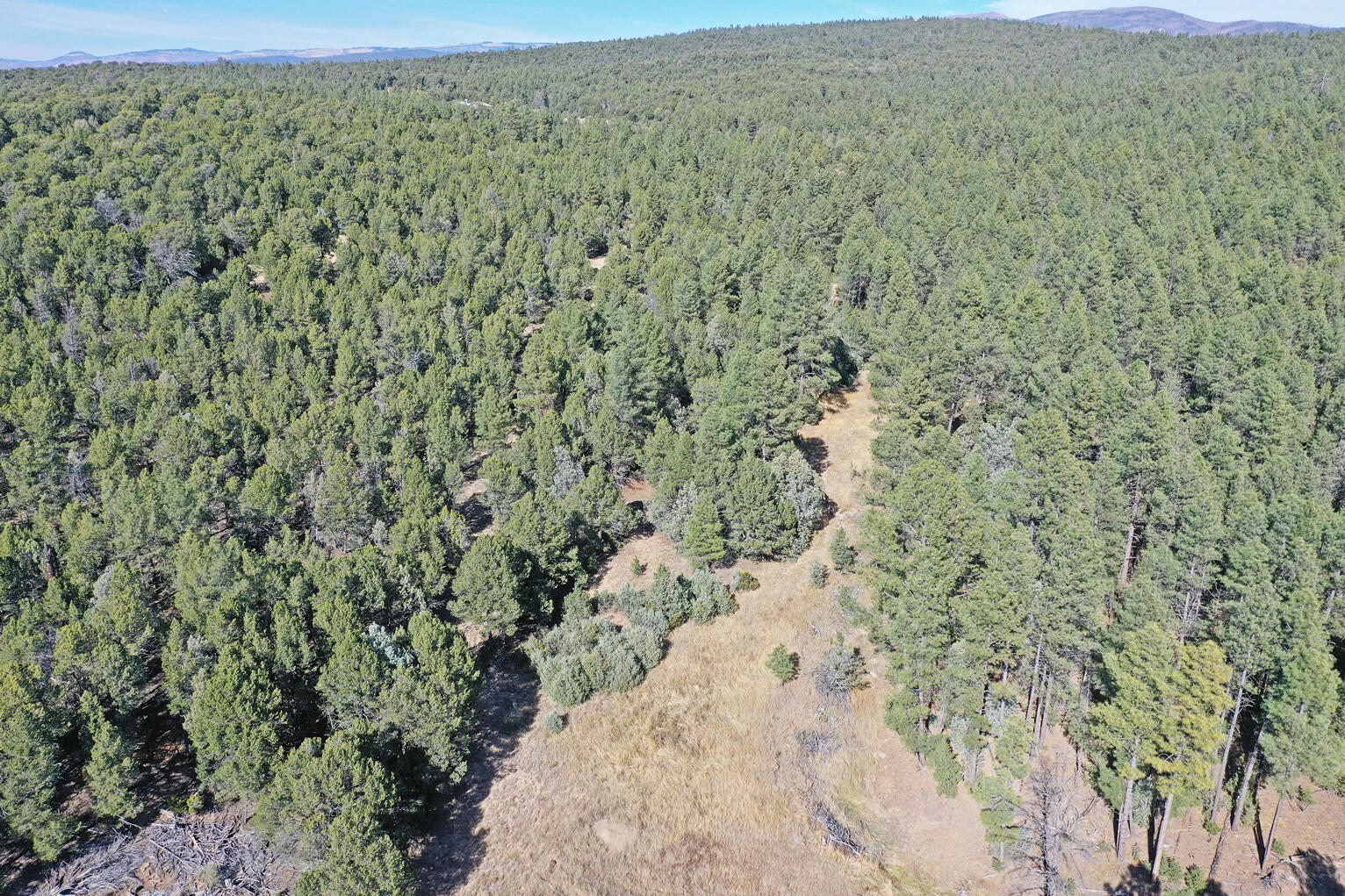 Photo 14 —  TBD Pecos