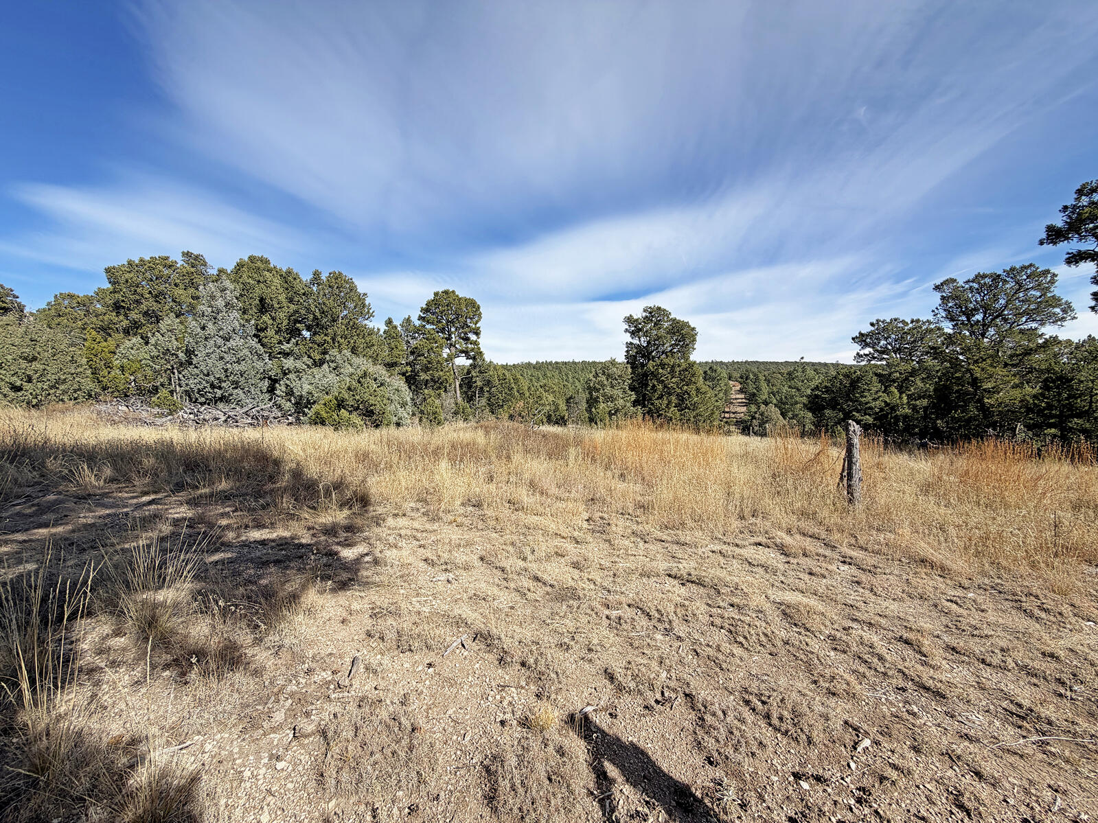 Photo 10 —  TBD Pecos