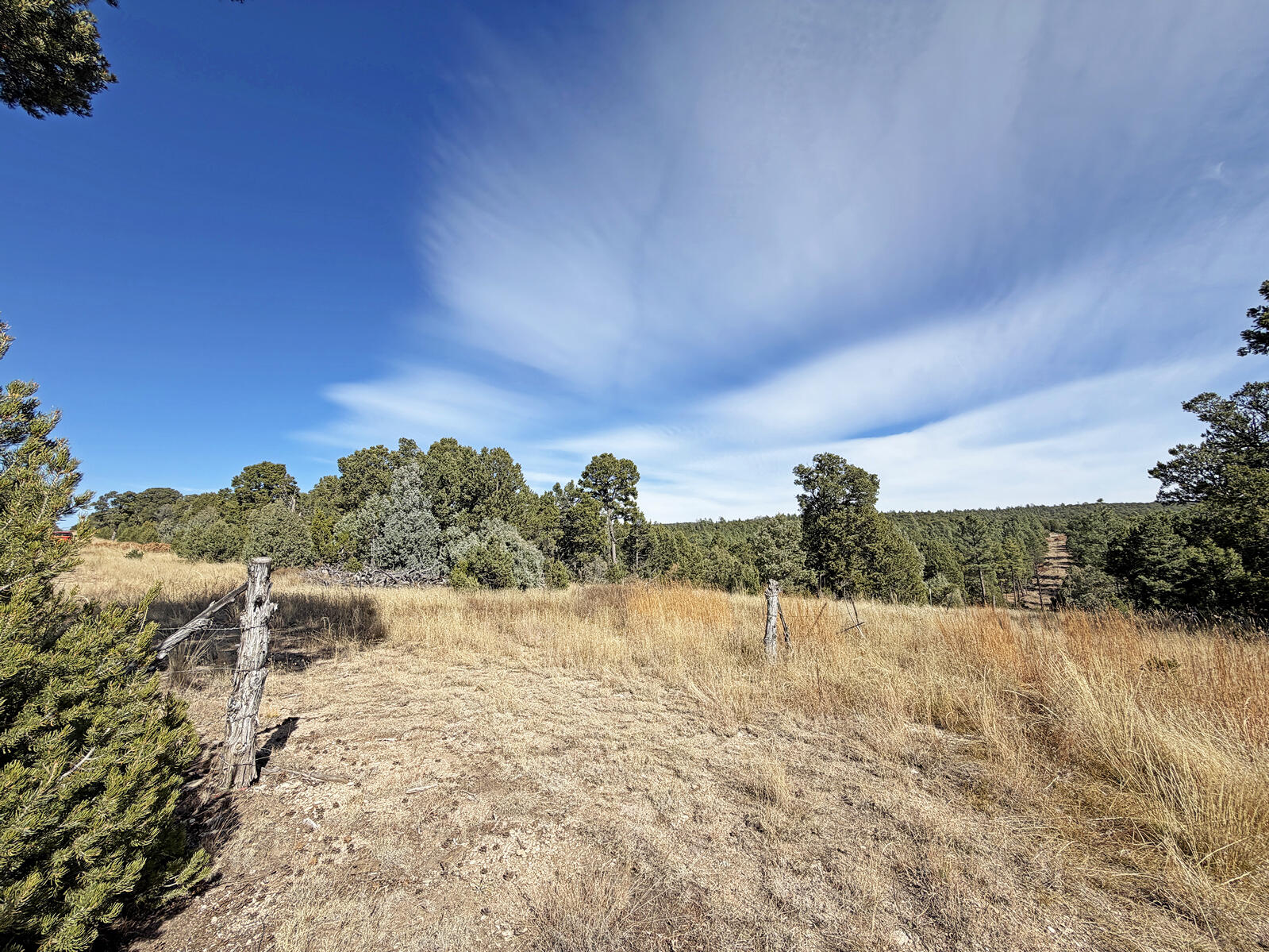 Photo 9 —  TBD Pecos