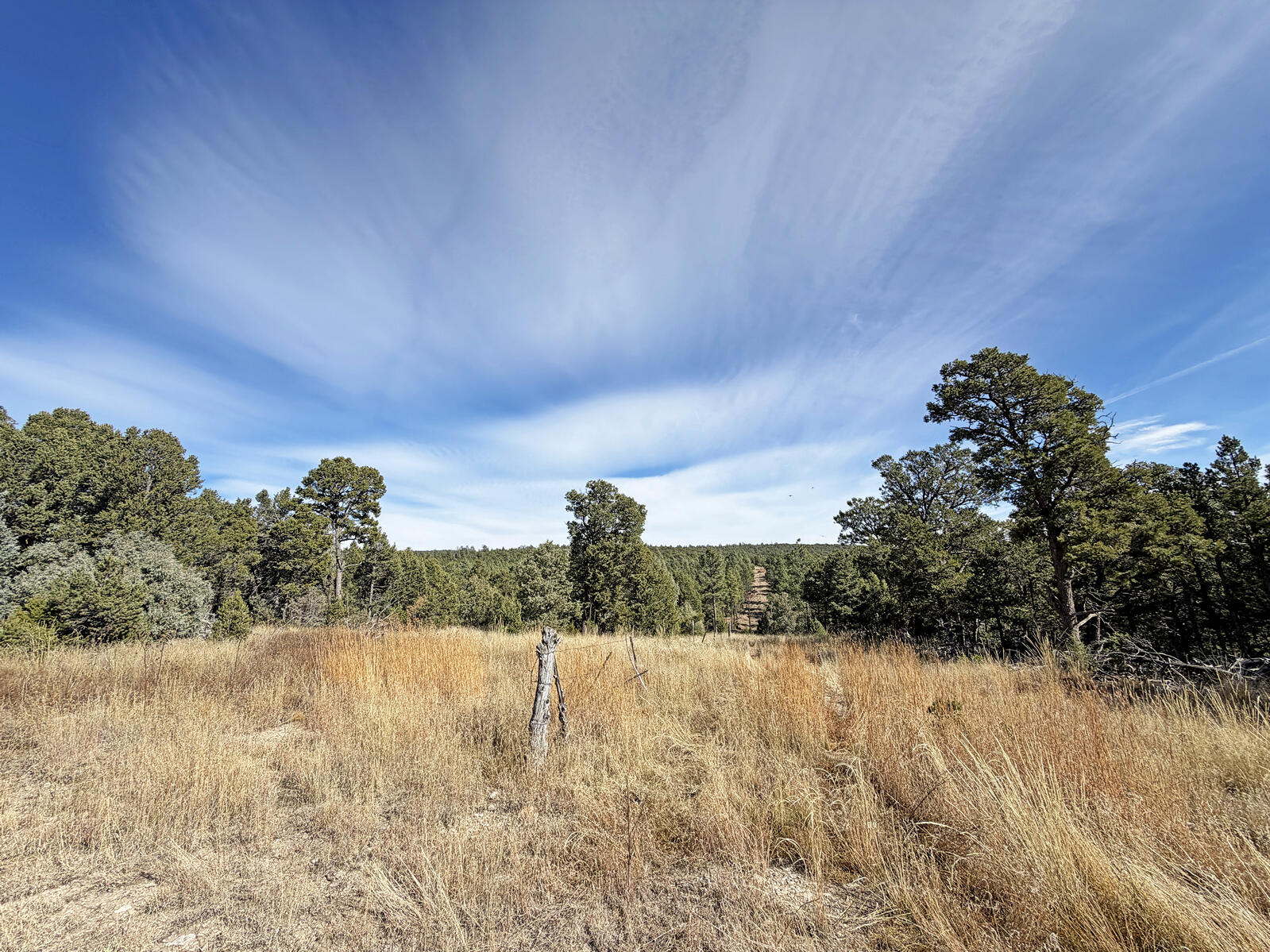 Photo 8 —  TBD Pecos