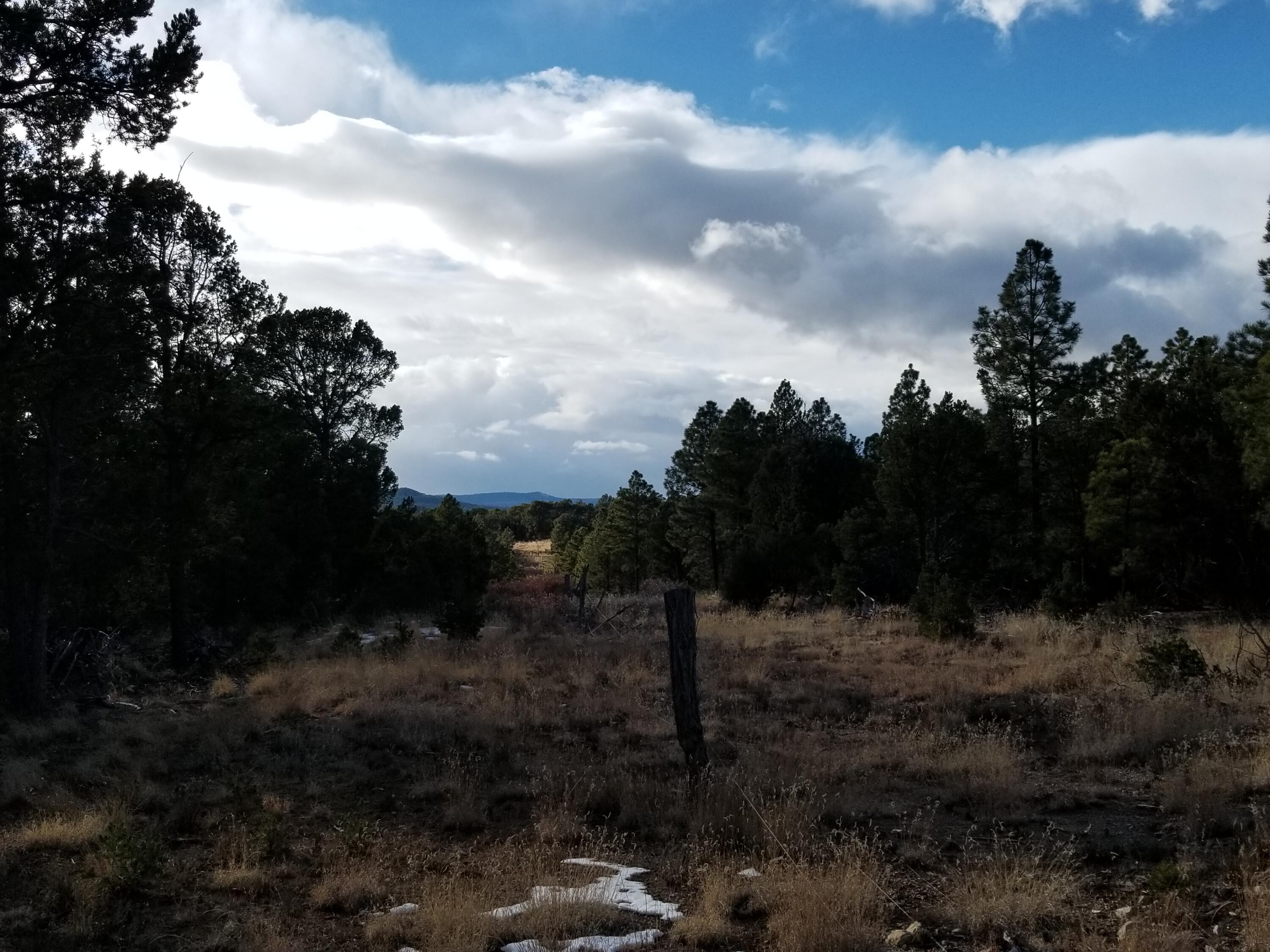 Photo 6 —  TBD Pecos