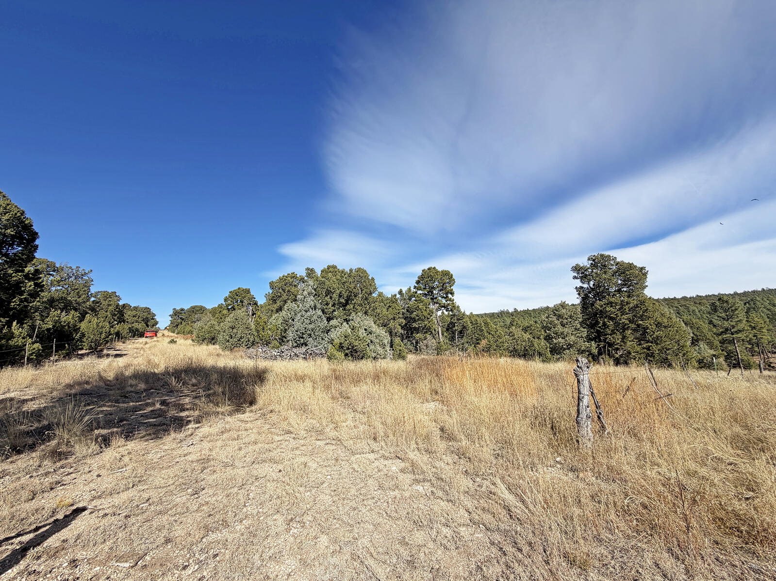 Photo 7 —  TBD Pecos