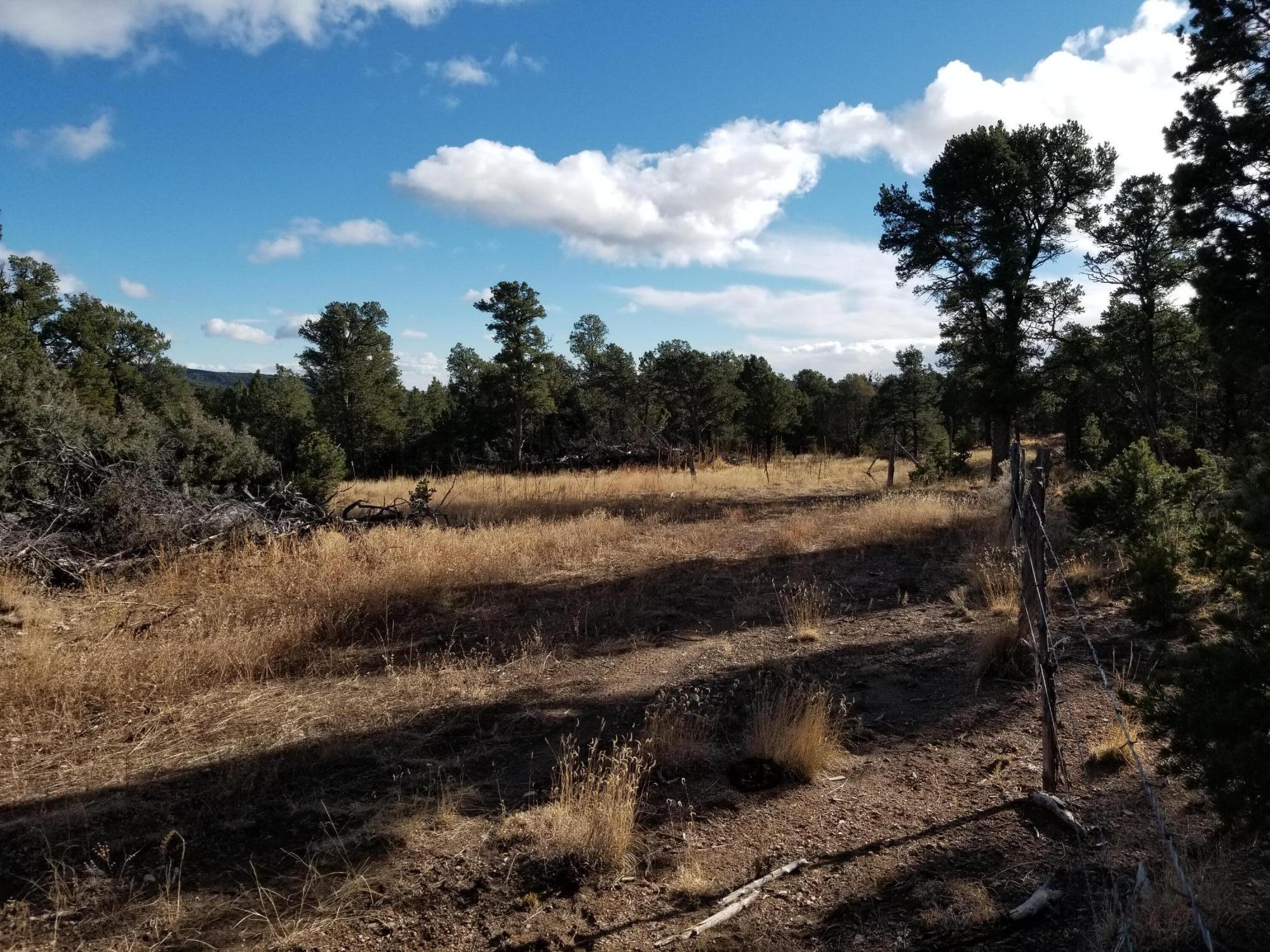 Photo 7 —  TBD Pecos