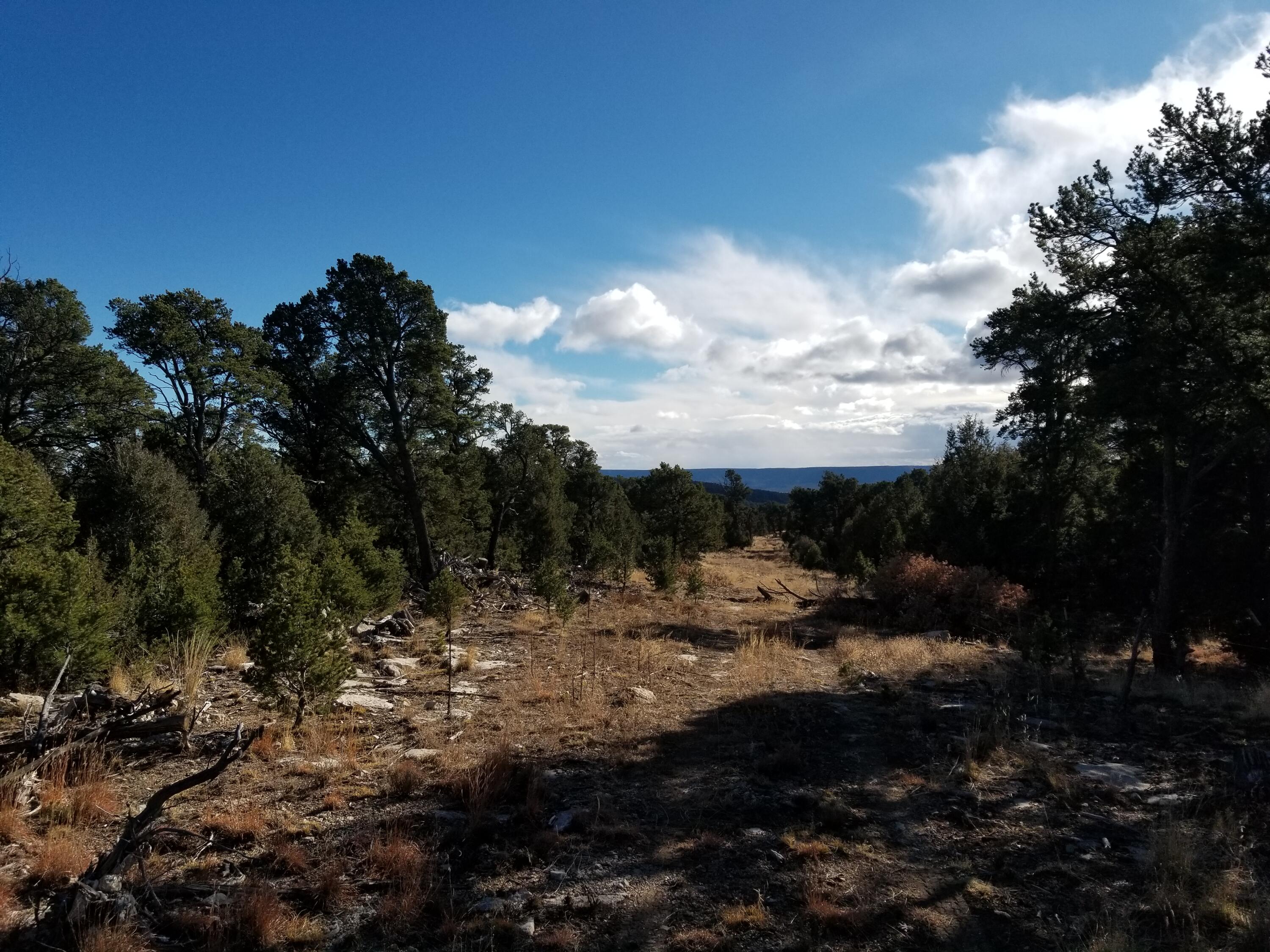 Photo 8 —  TBD Pecos