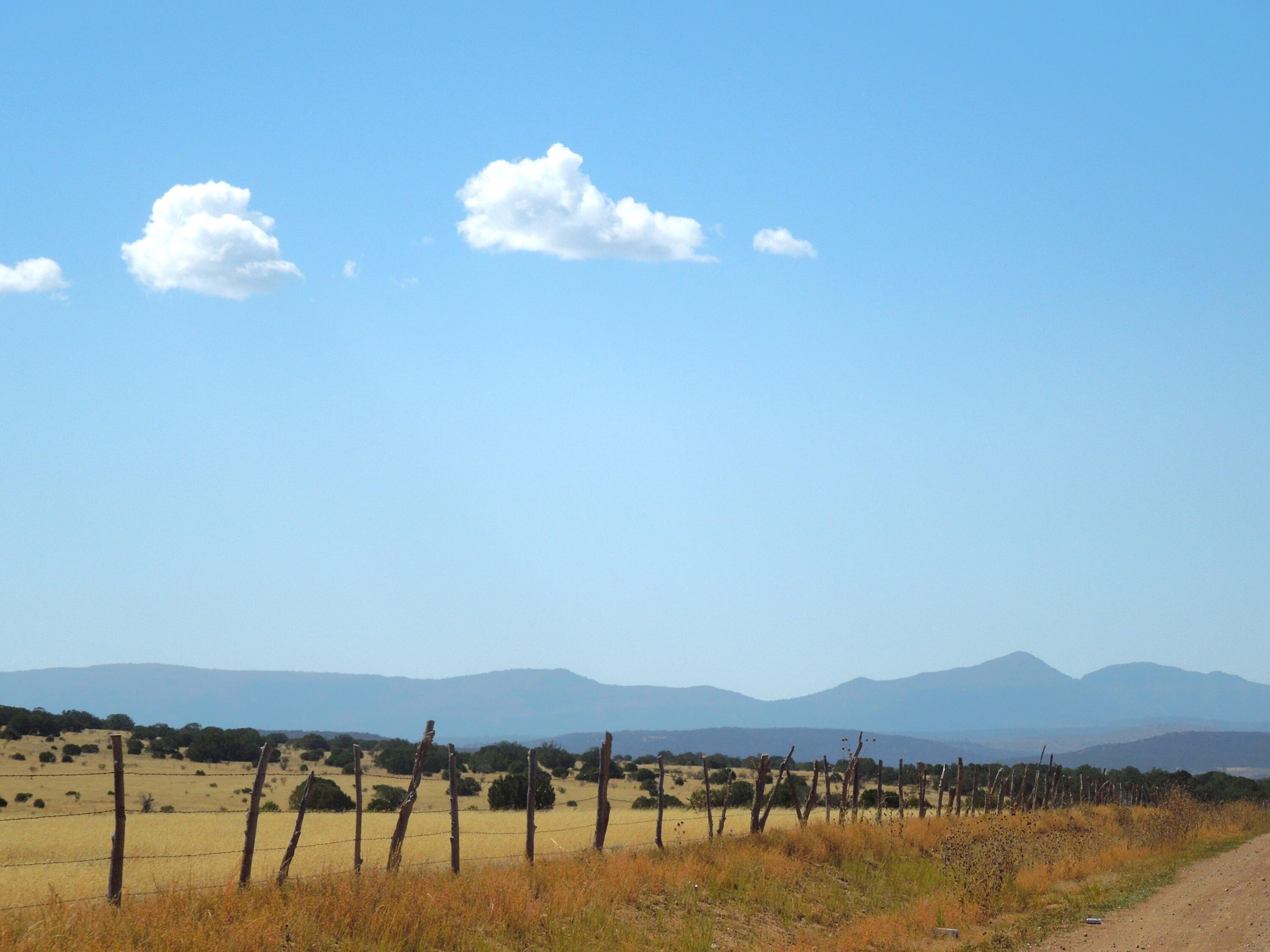 Photo 4 —  Lot 117 S