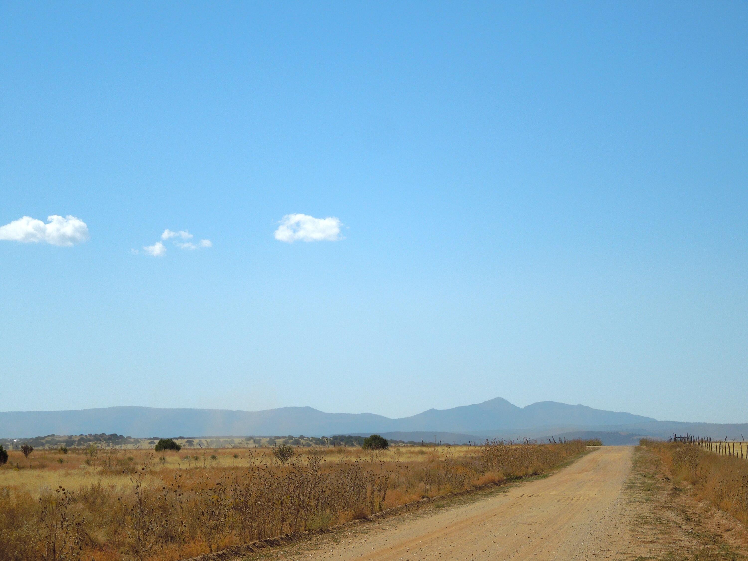 Photo 5 —  Lot 117 S