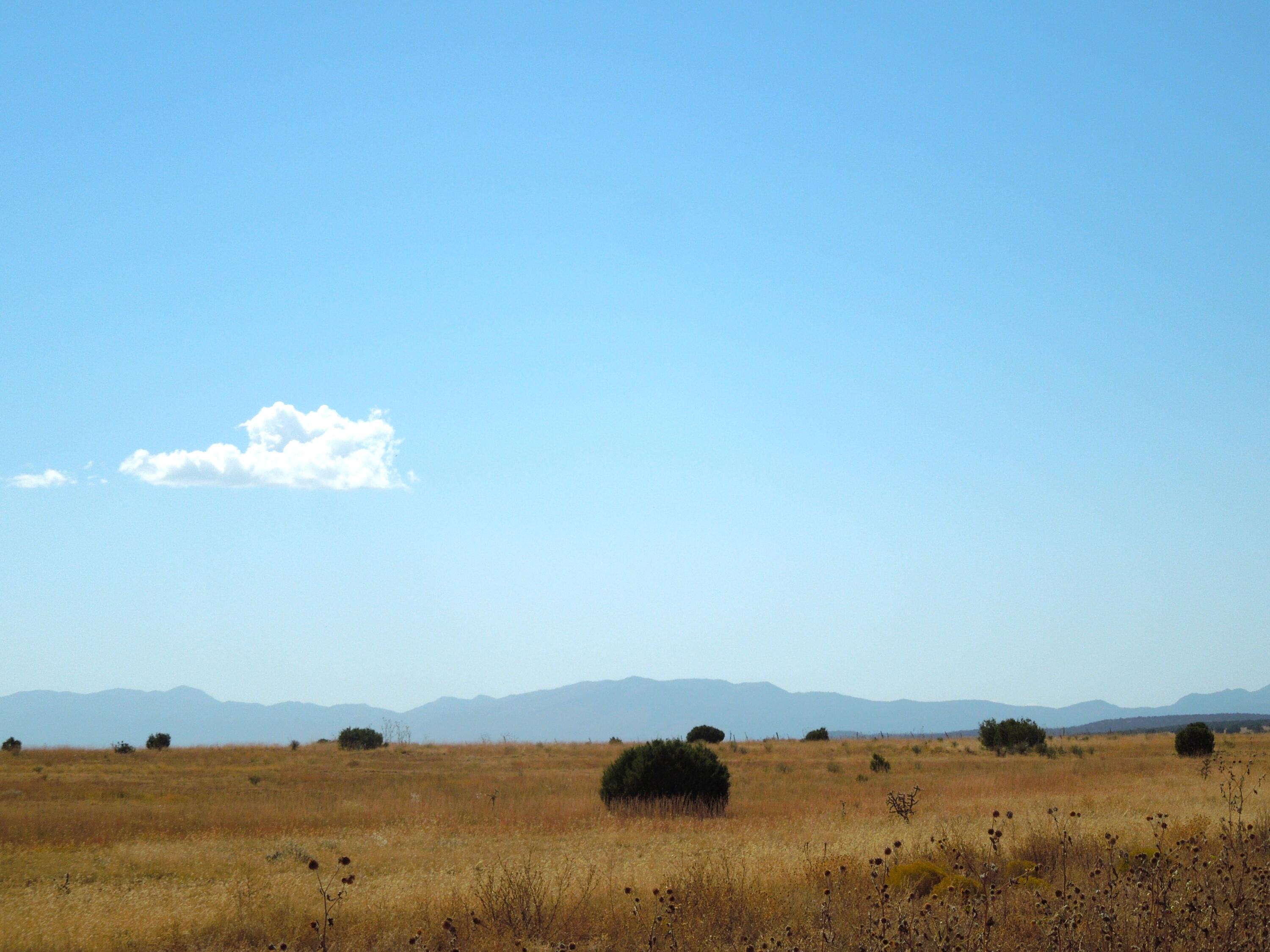 Photo 6 —  Lot 117 S