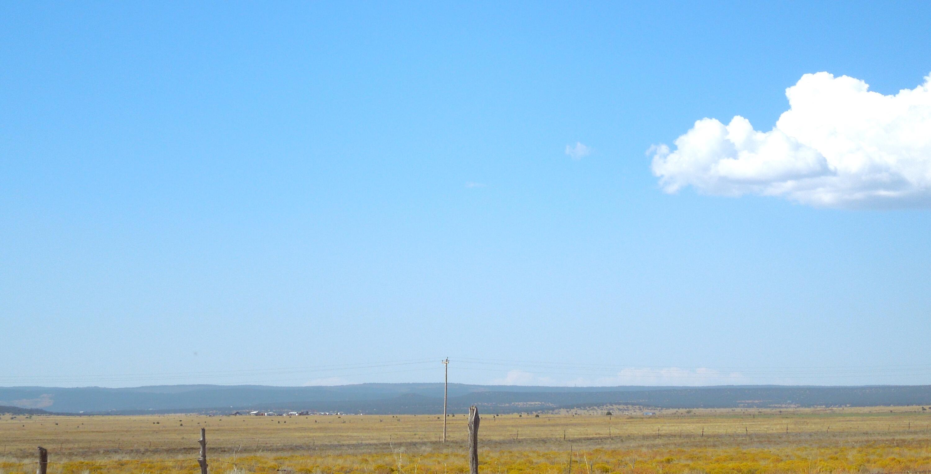 Photo 8 —  Lot 117 S