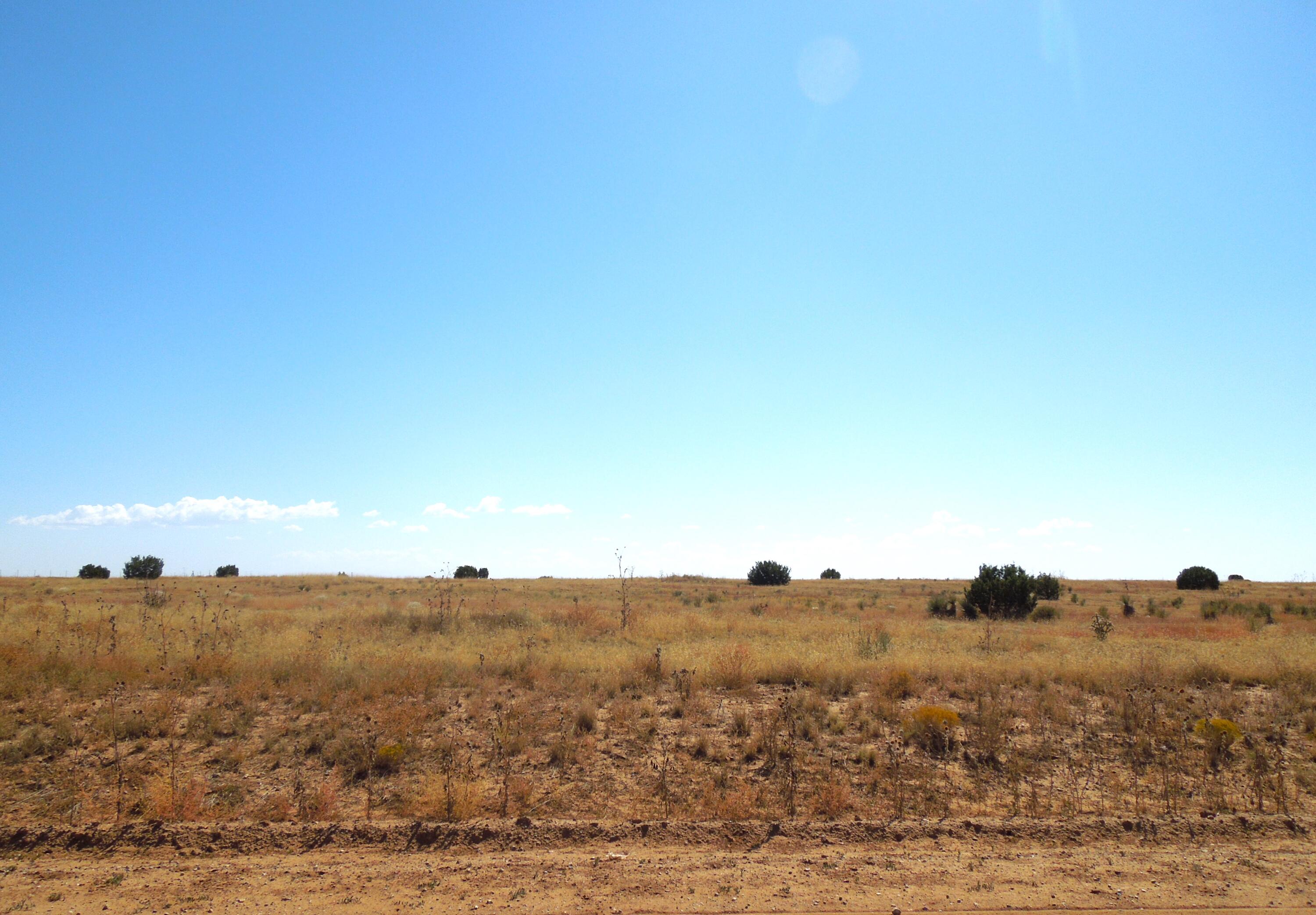 Photo 9 —  Lot 117 S