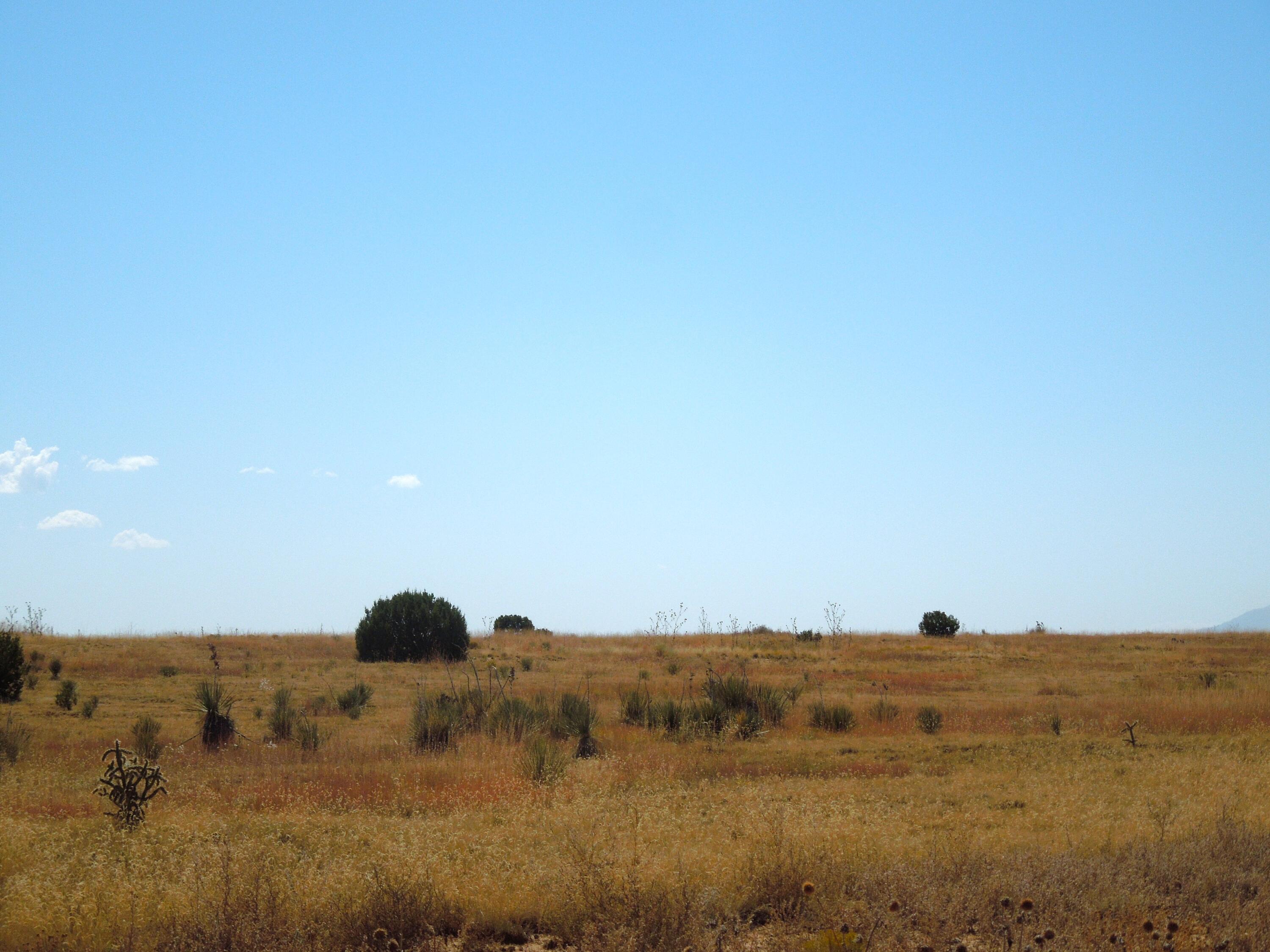 Photo 10 —  Lot 117 S