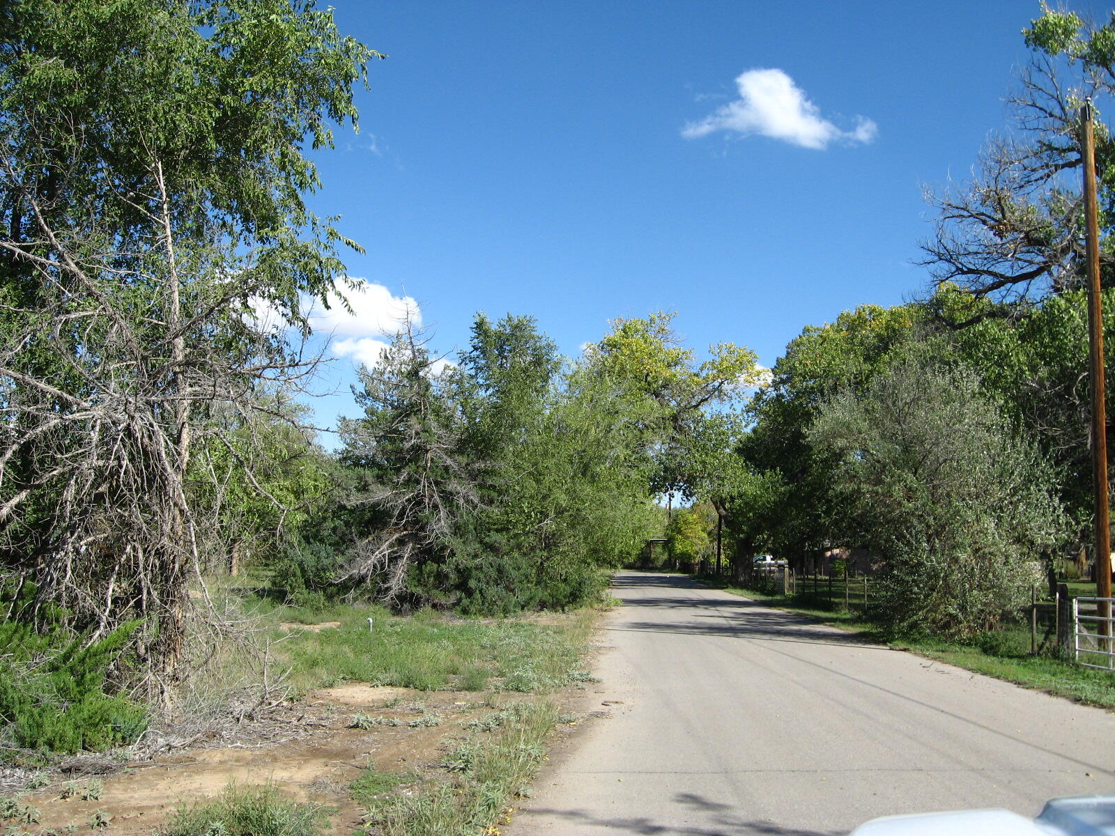 Photo 2 — 00 Forgotten Promise Tr2 Lane
