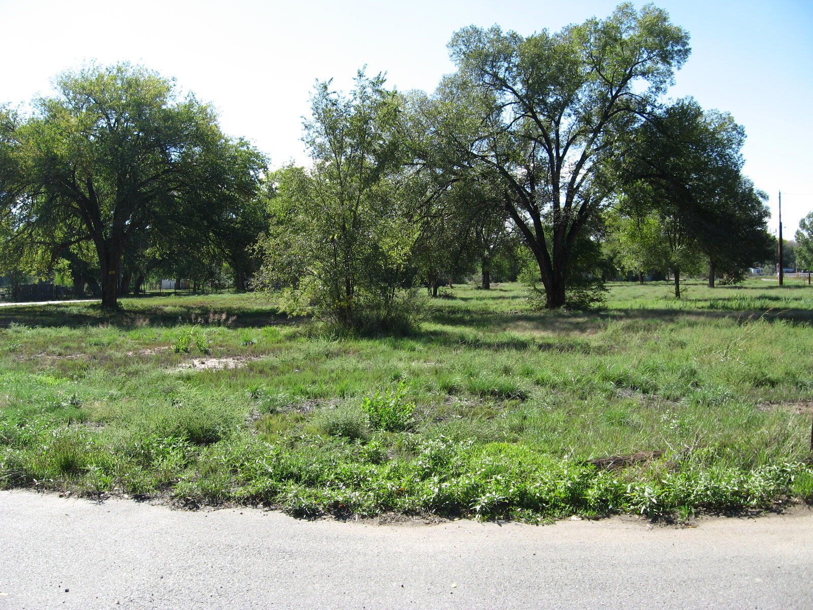 Photo 4 — 0 Forgotten Promise Tr4 Lane