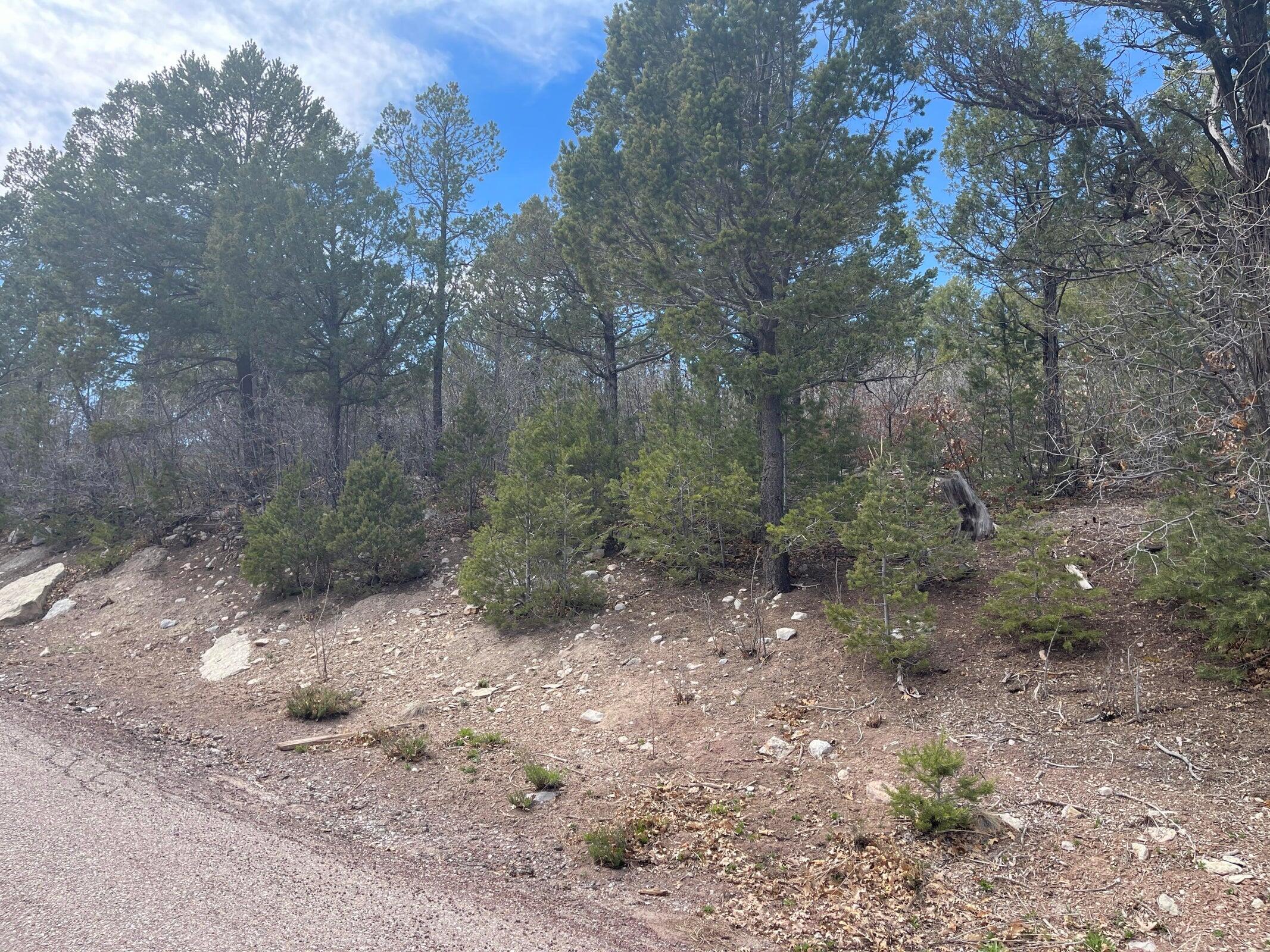Photo 4 — 23 Big Dipper Road