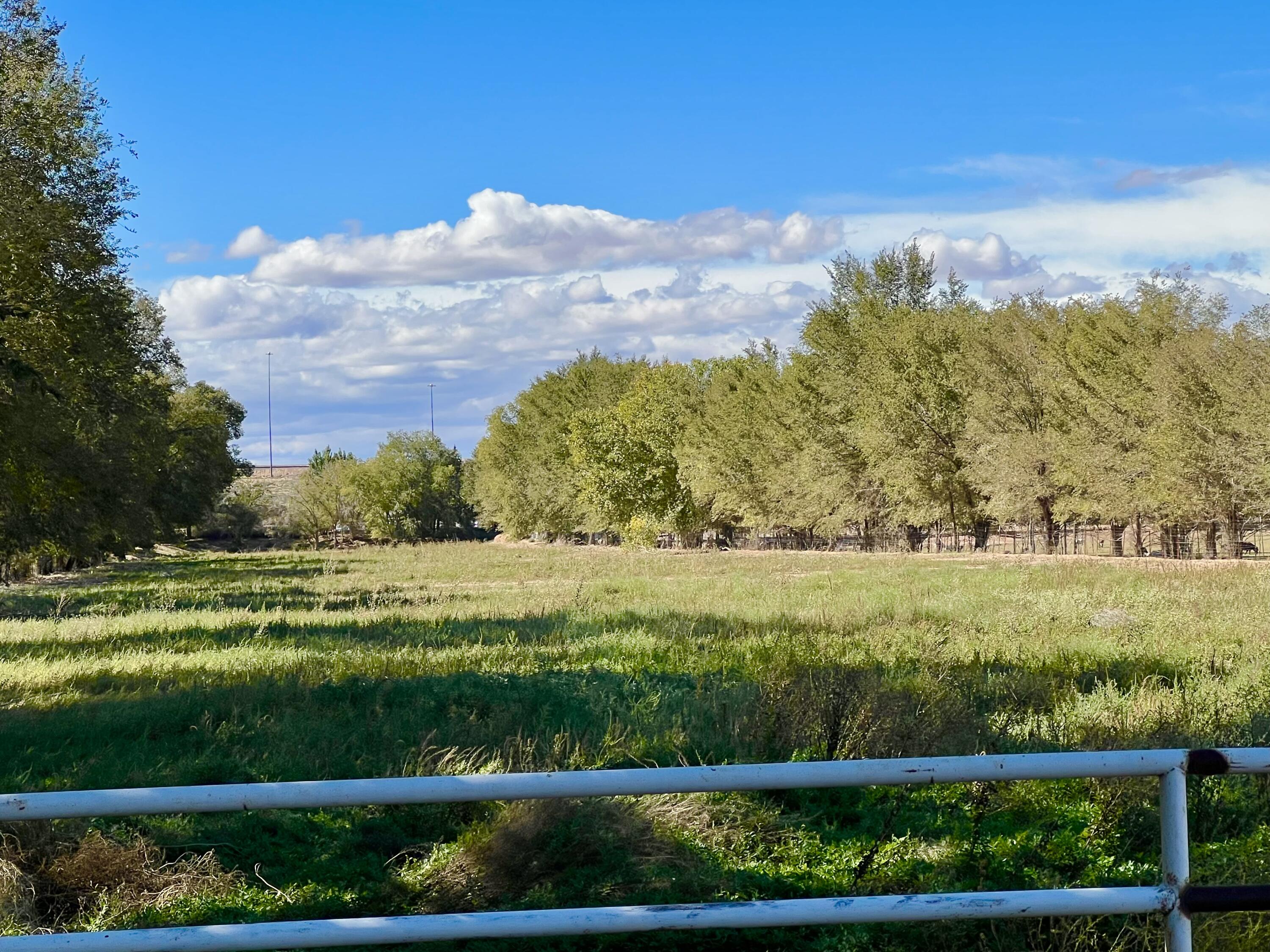 Photo 20 — 57 Edmundo Road