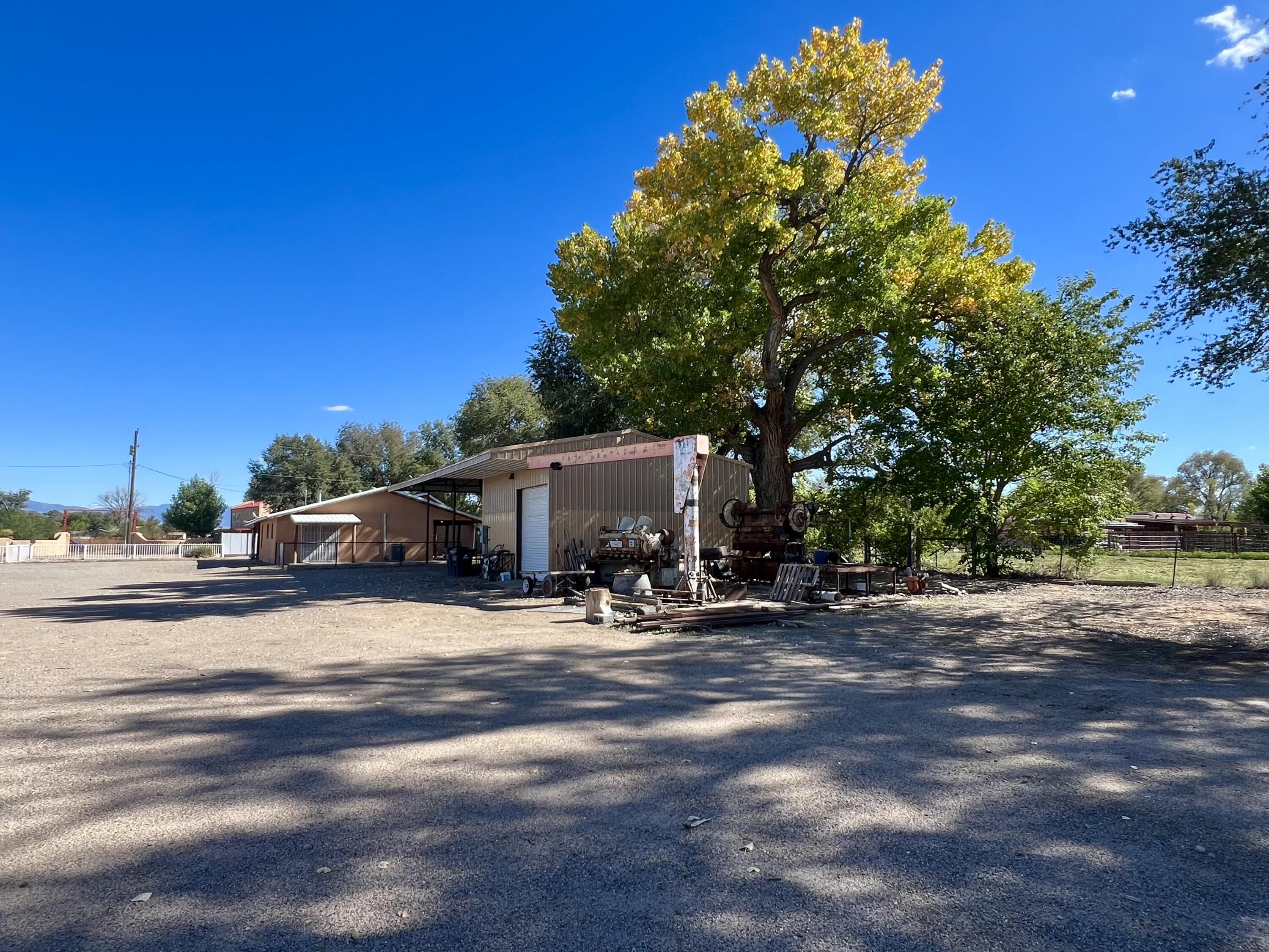 Photo 9 — 57 Edmundo Road