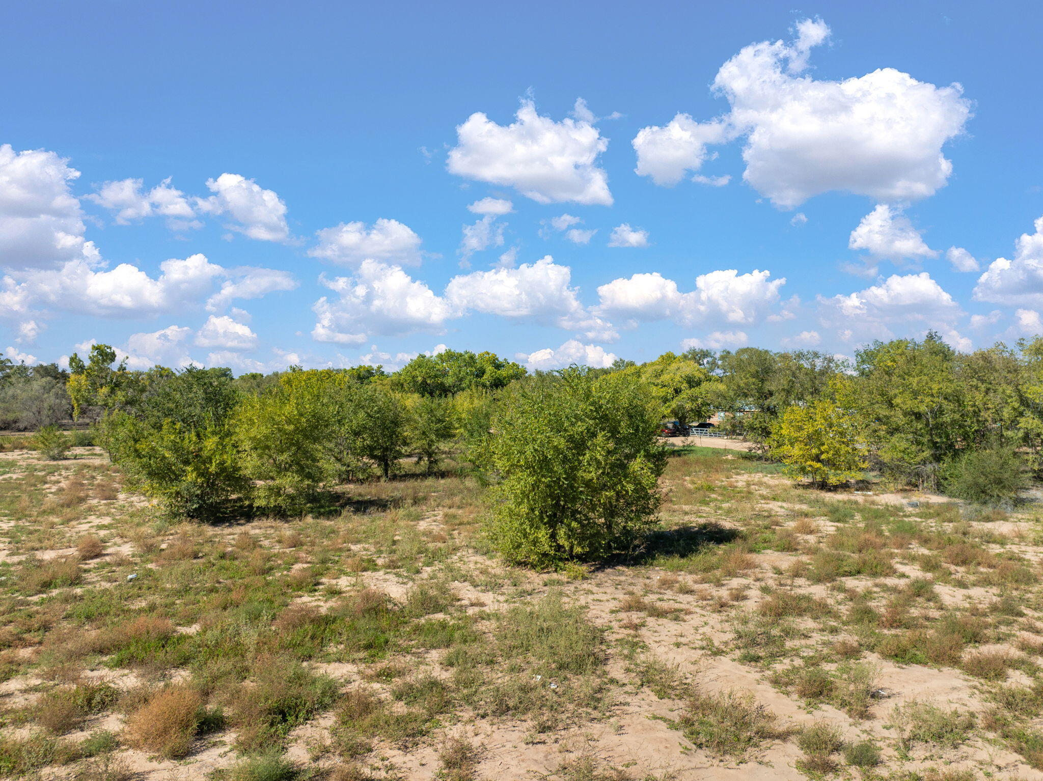 Photo 11 —  Lot 7A Ross Lane