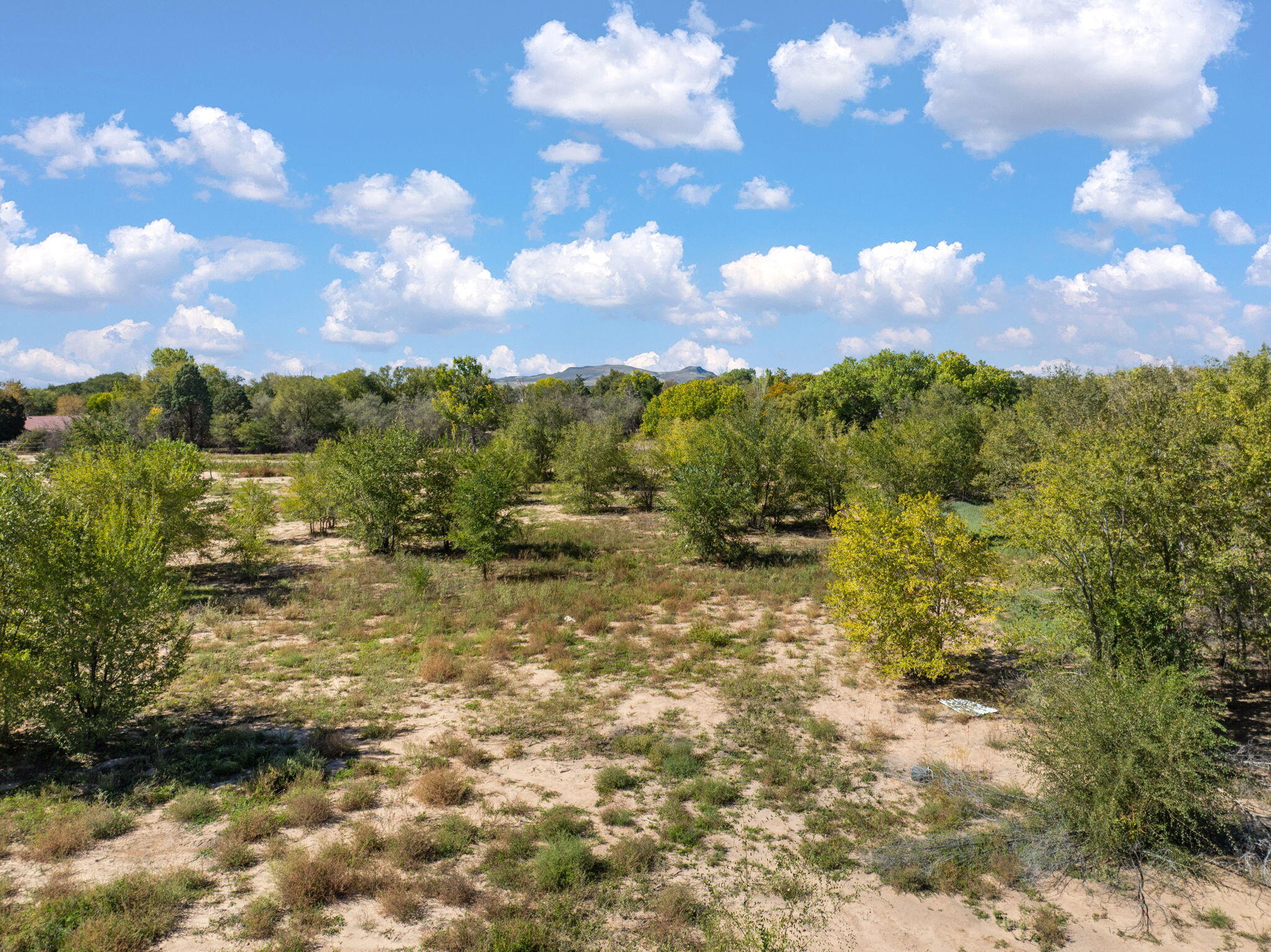 Photo 9 —  Lot 7A Ross Lane