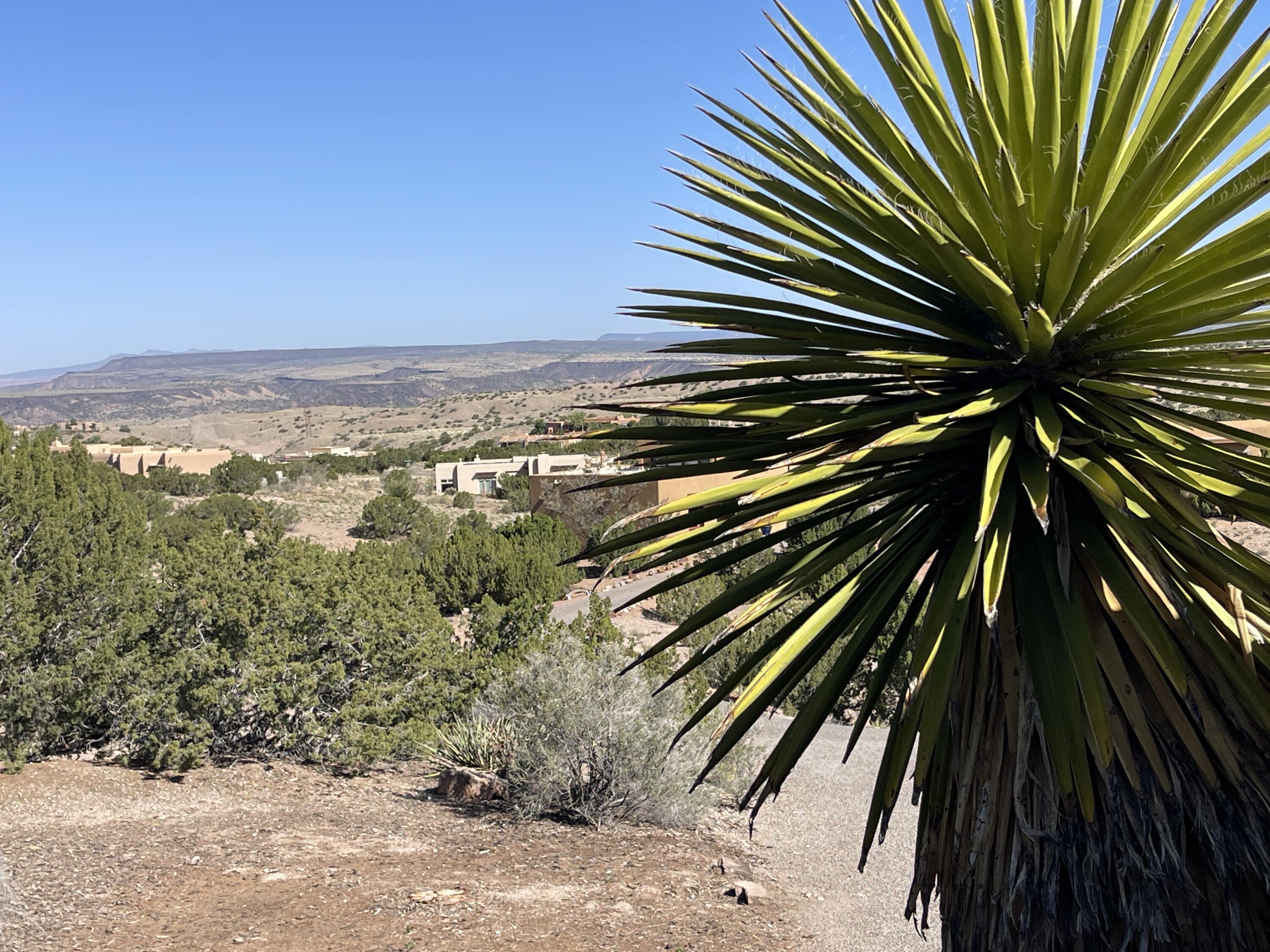 Photo 8 — 194 Camino Barranca