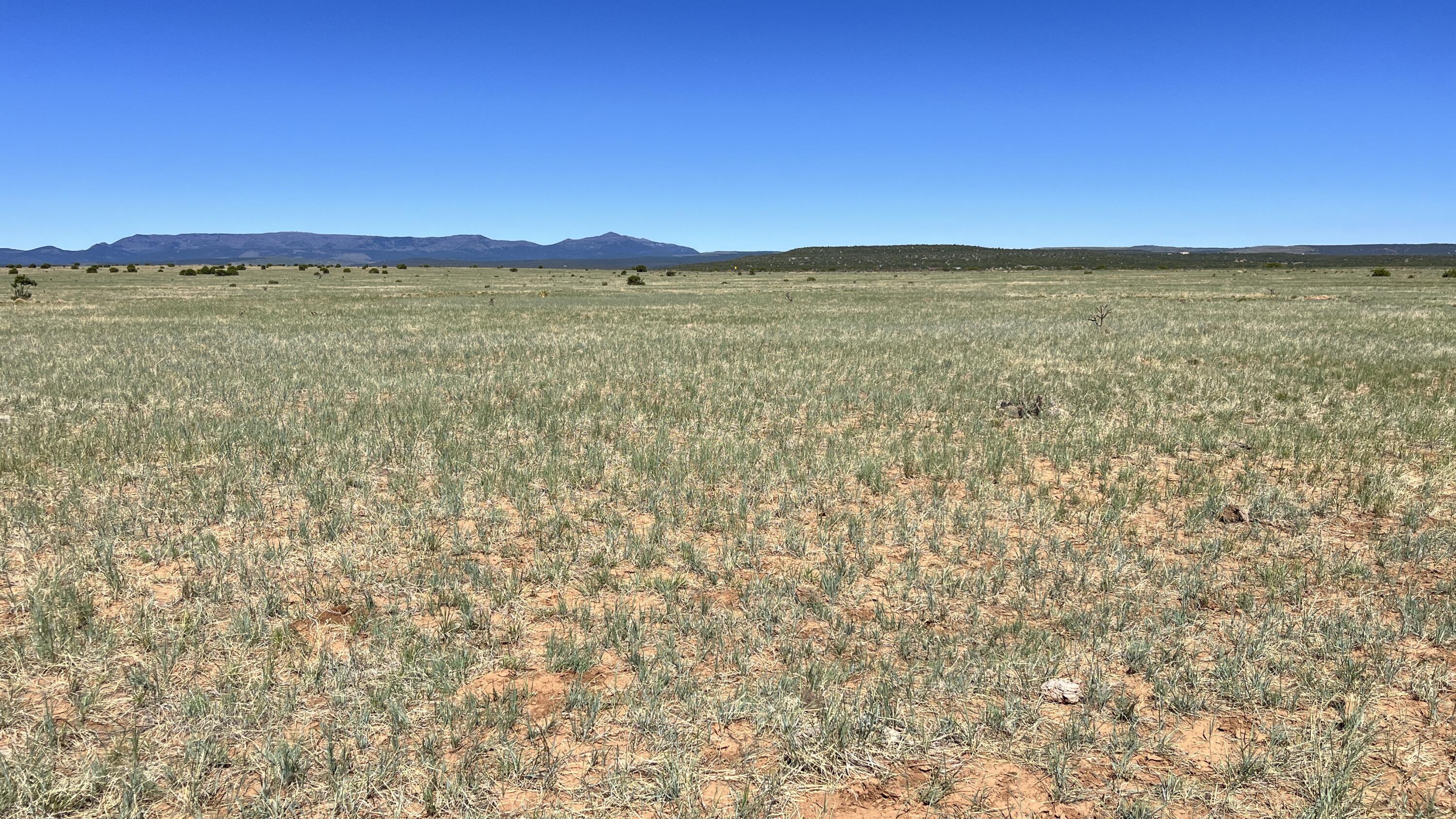 Photo 20 —  I-25 Frontage Rd