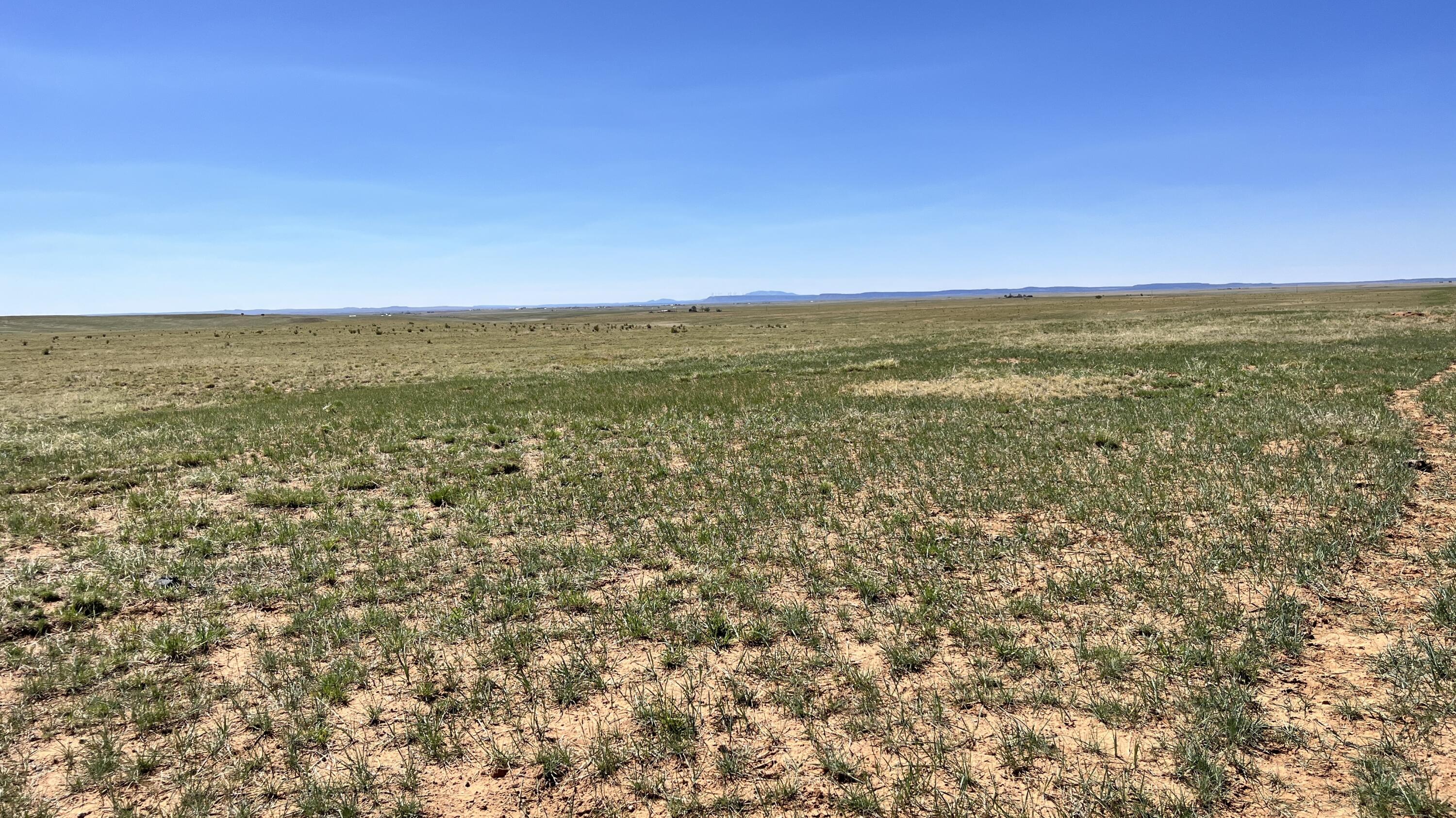 Photo 18 —  I-25 Frontage Rd