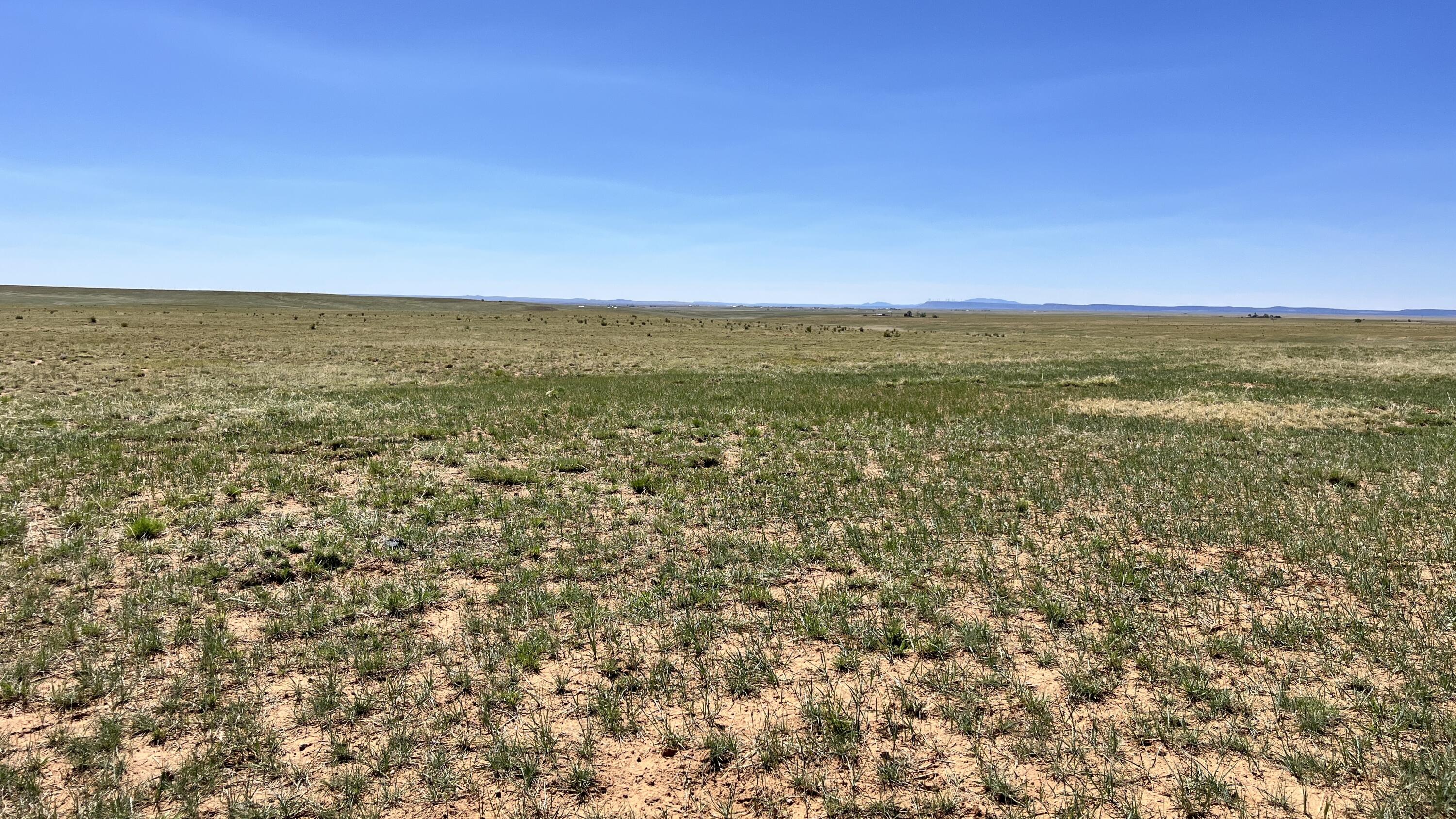Photo 17 —  I-25 Frontage Rd
