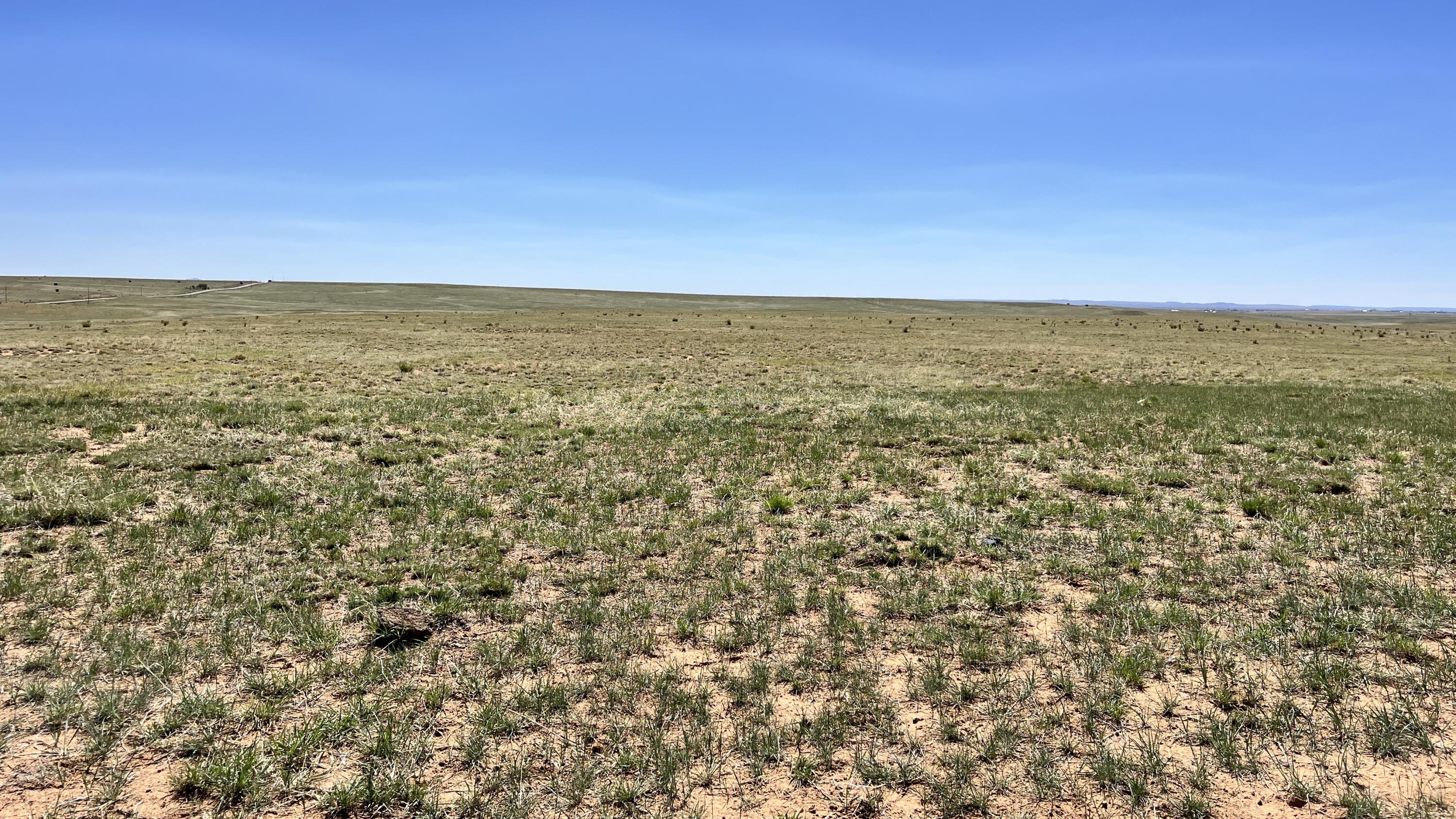Photo 16 —  I-25 Frontage Rd