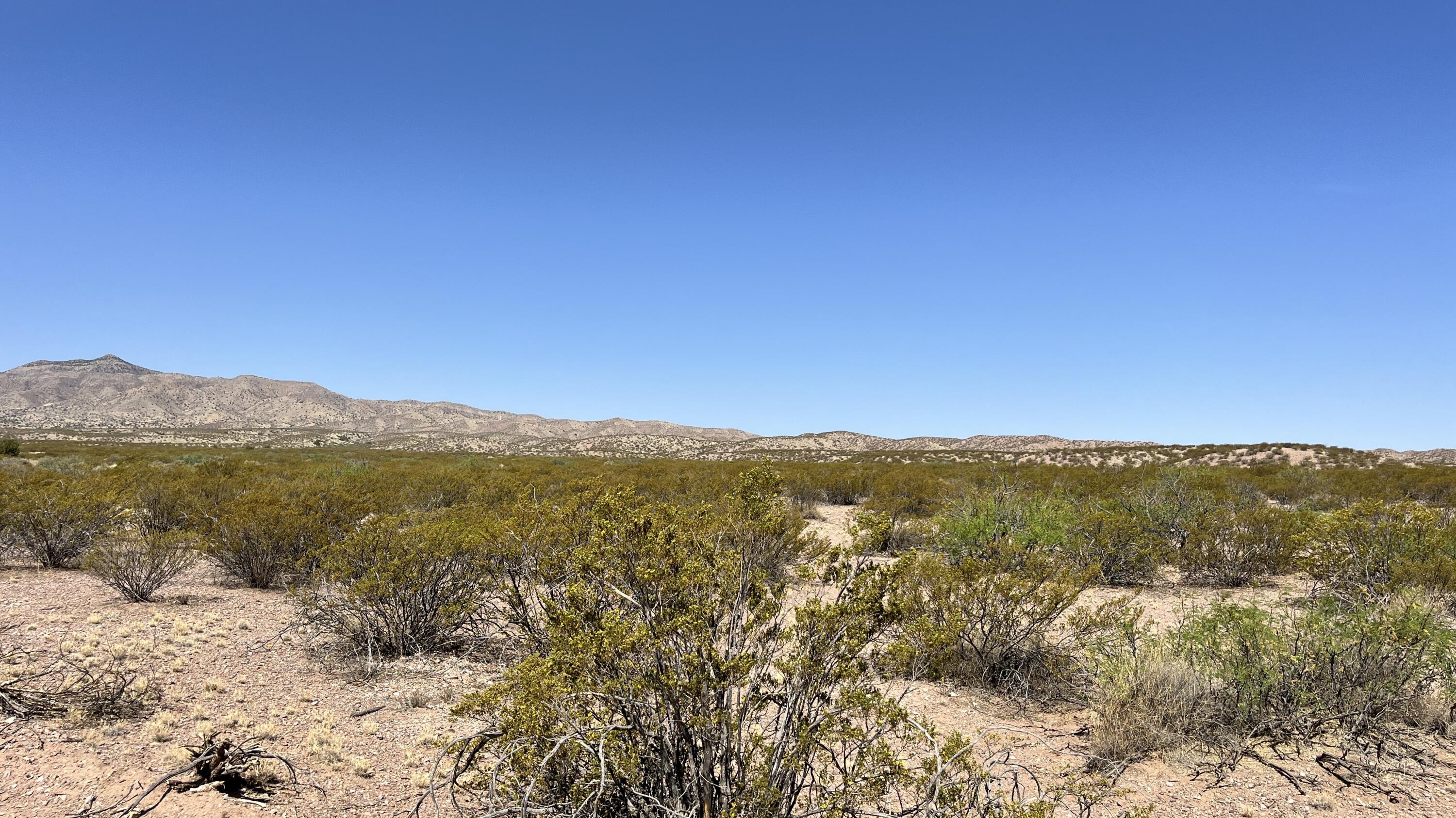 Photo 15 —  I-25 Frontage Rd