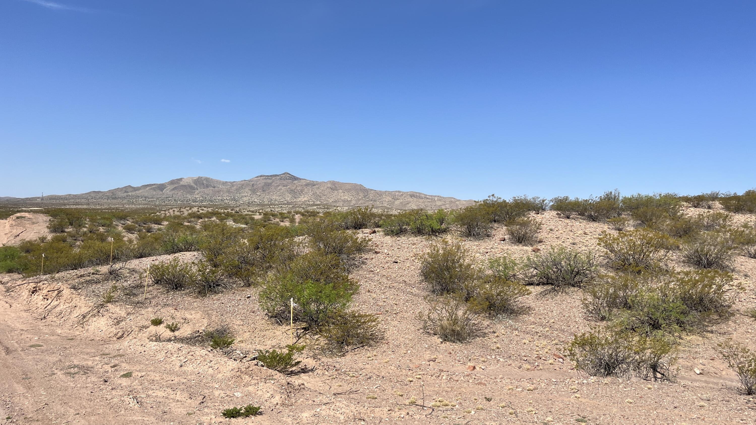 Photo 12 —  I-25 Frontage Rd