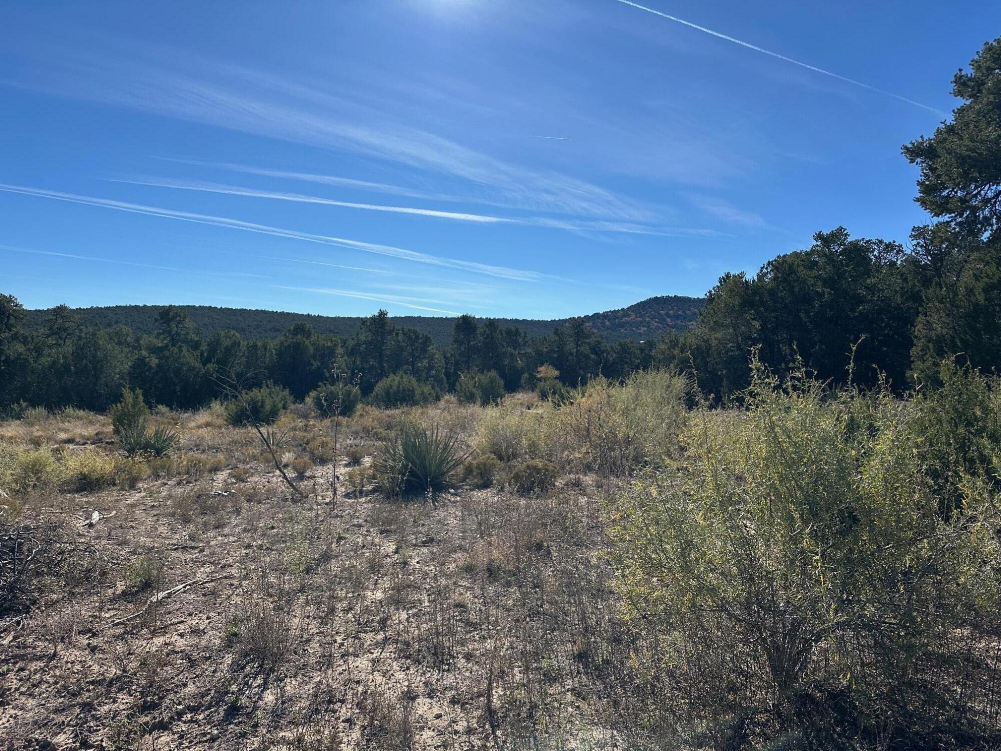 Photo 17 — 0 Brannan Road