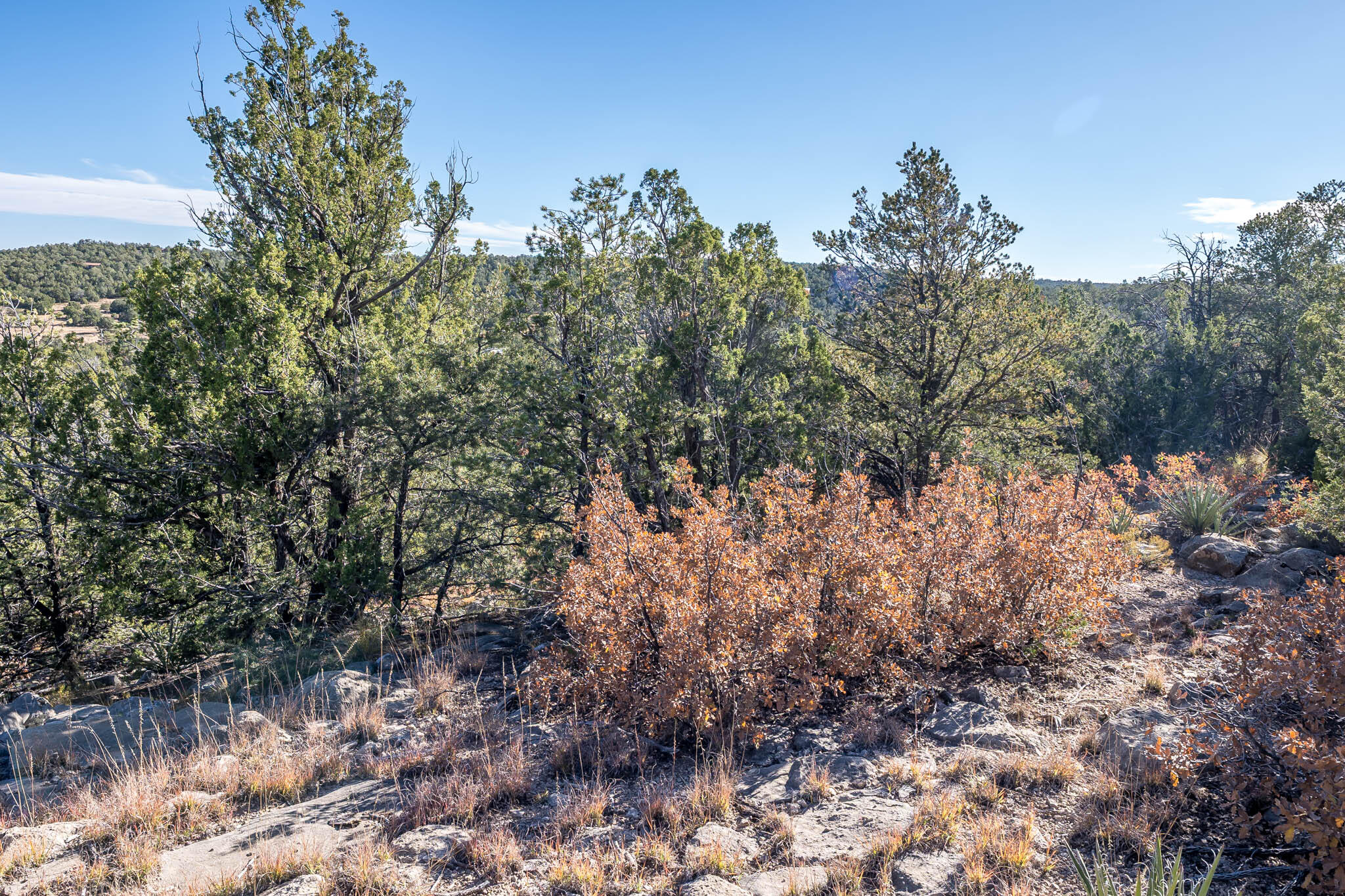 Photo 10 — 44 Orion View Trail
