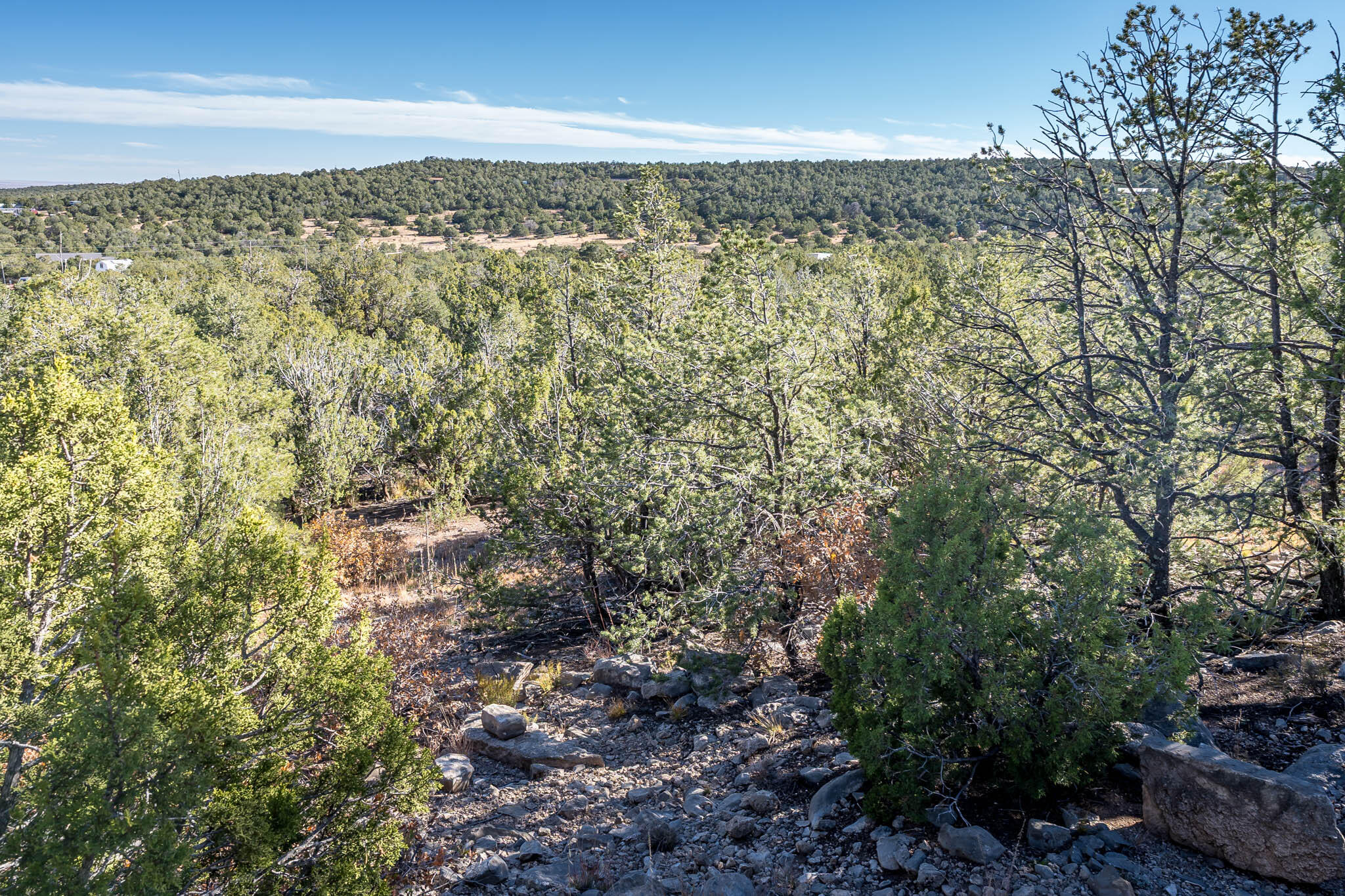 Photo 9 — 44 Orion View Trail