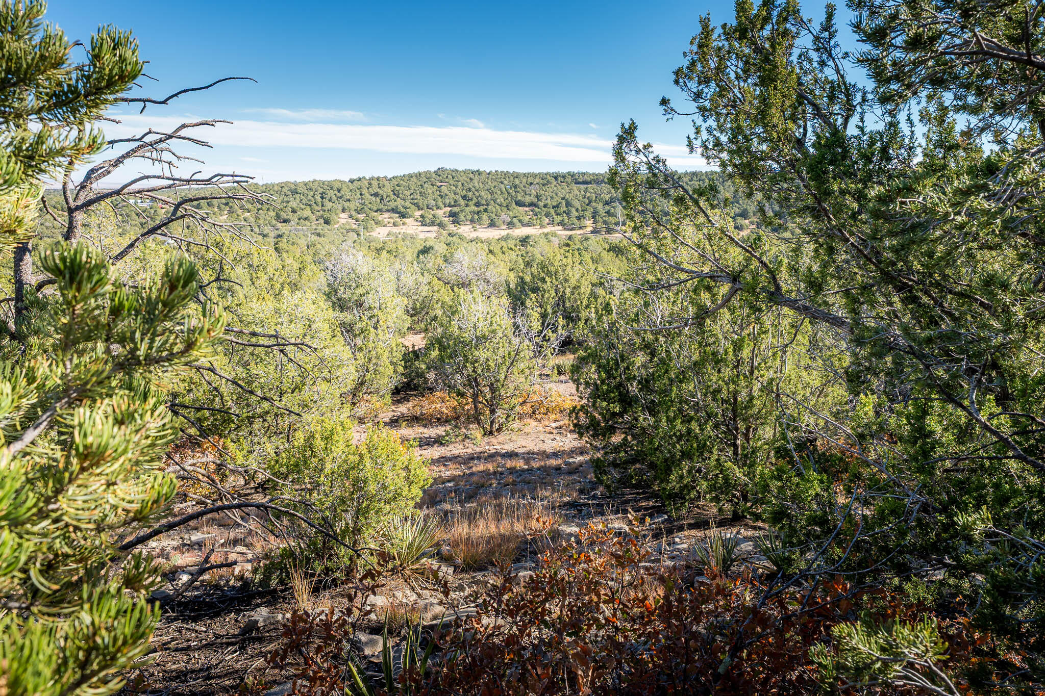 Photo 7 — 44 Orion View Trail
