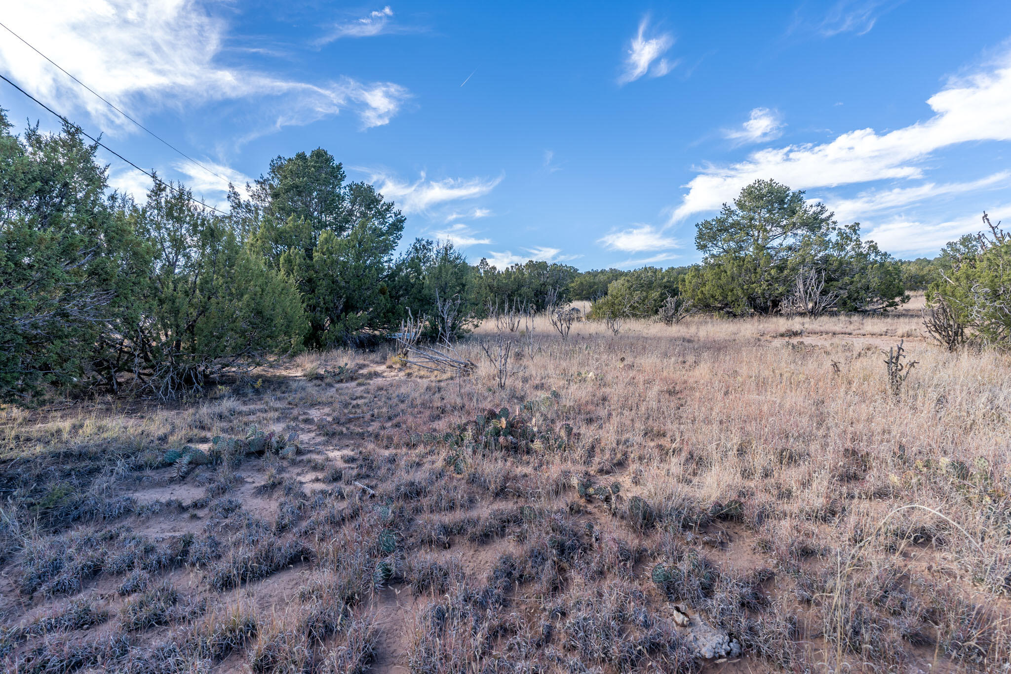 Photo 2 — 44 Orion View Trail