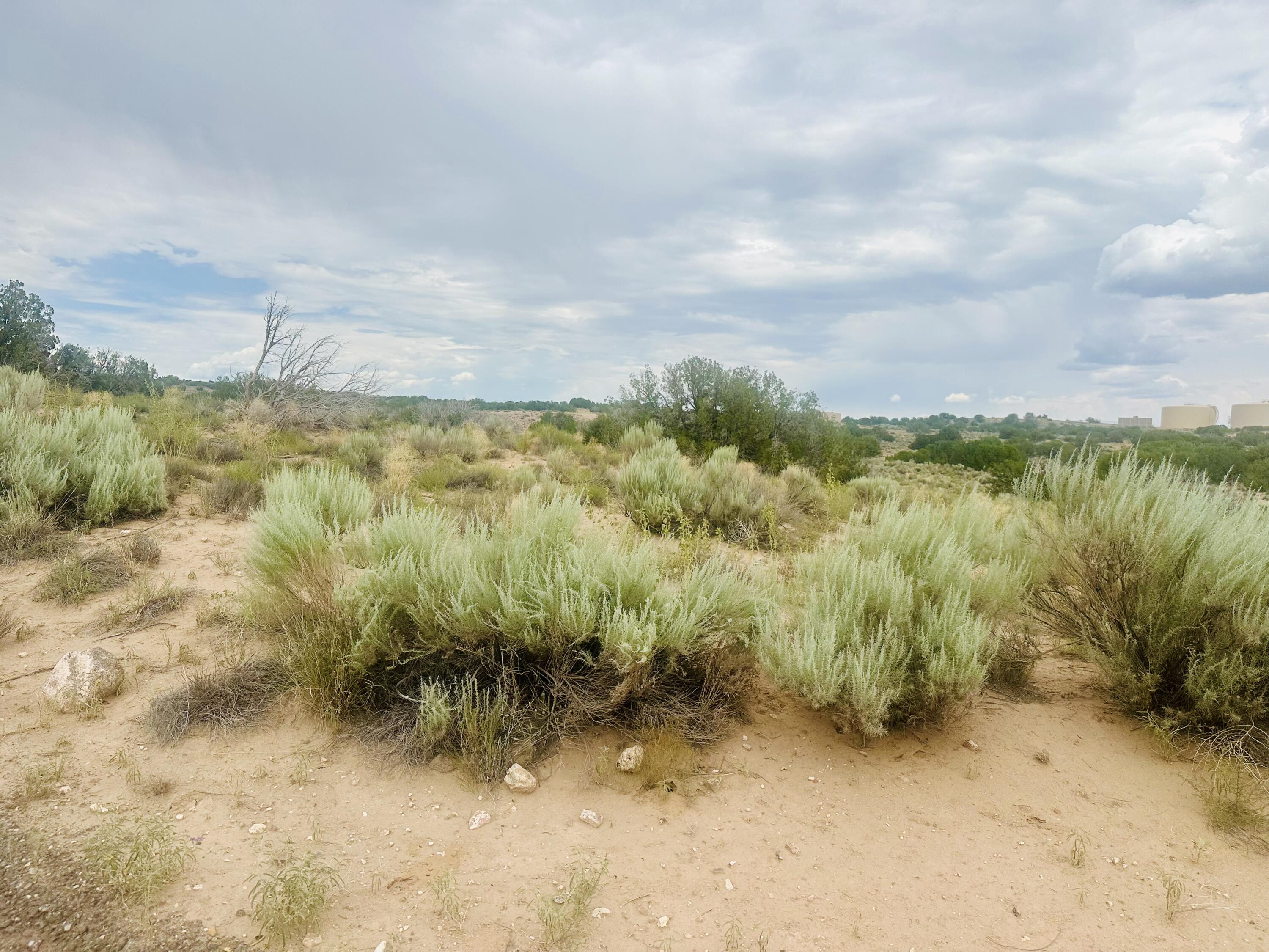 Photo 4 — 5208 Bachmann Court NE