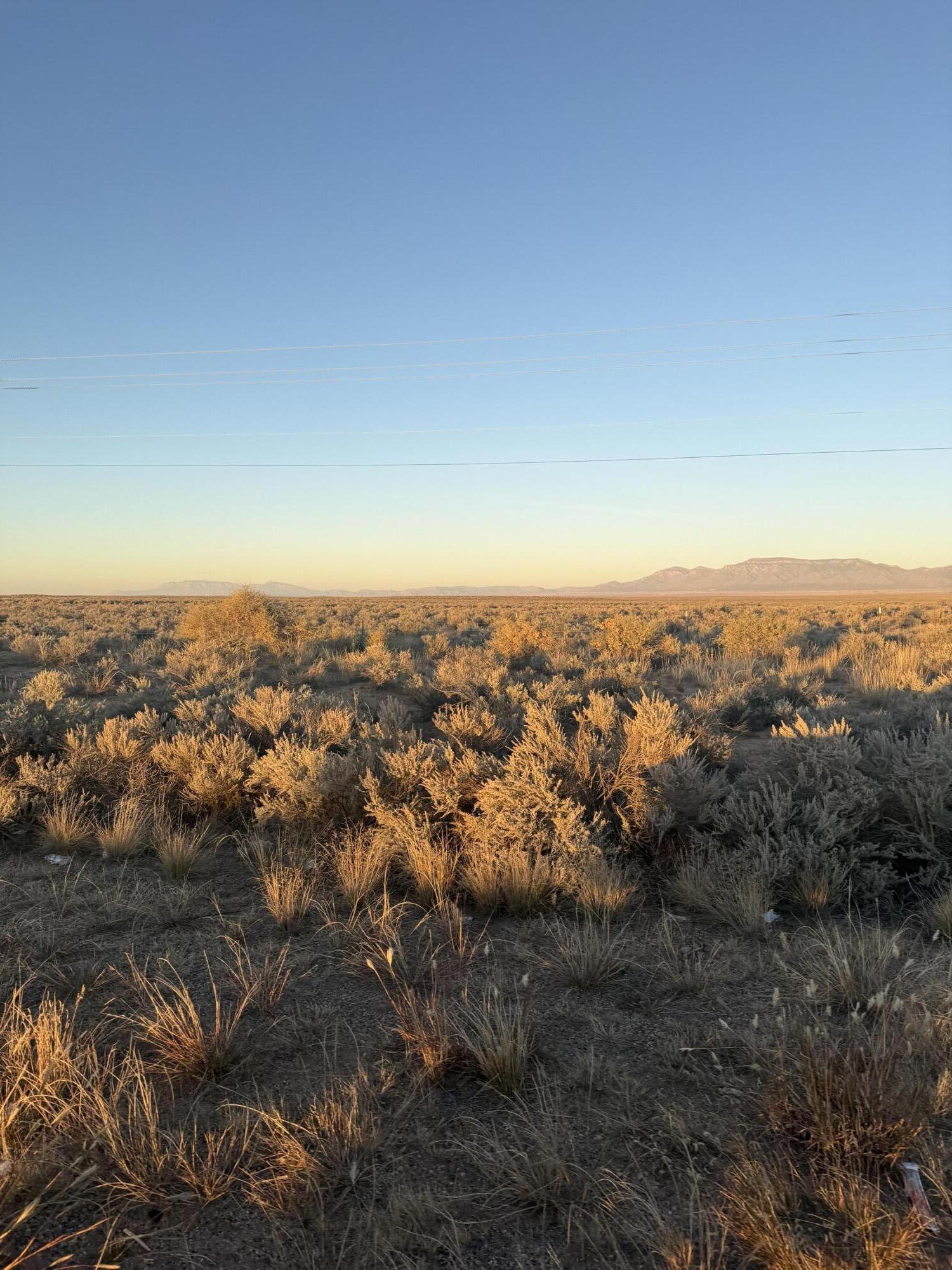 Photo 3 — Block 1415 Rio Grande Estate Lot 12,13,14