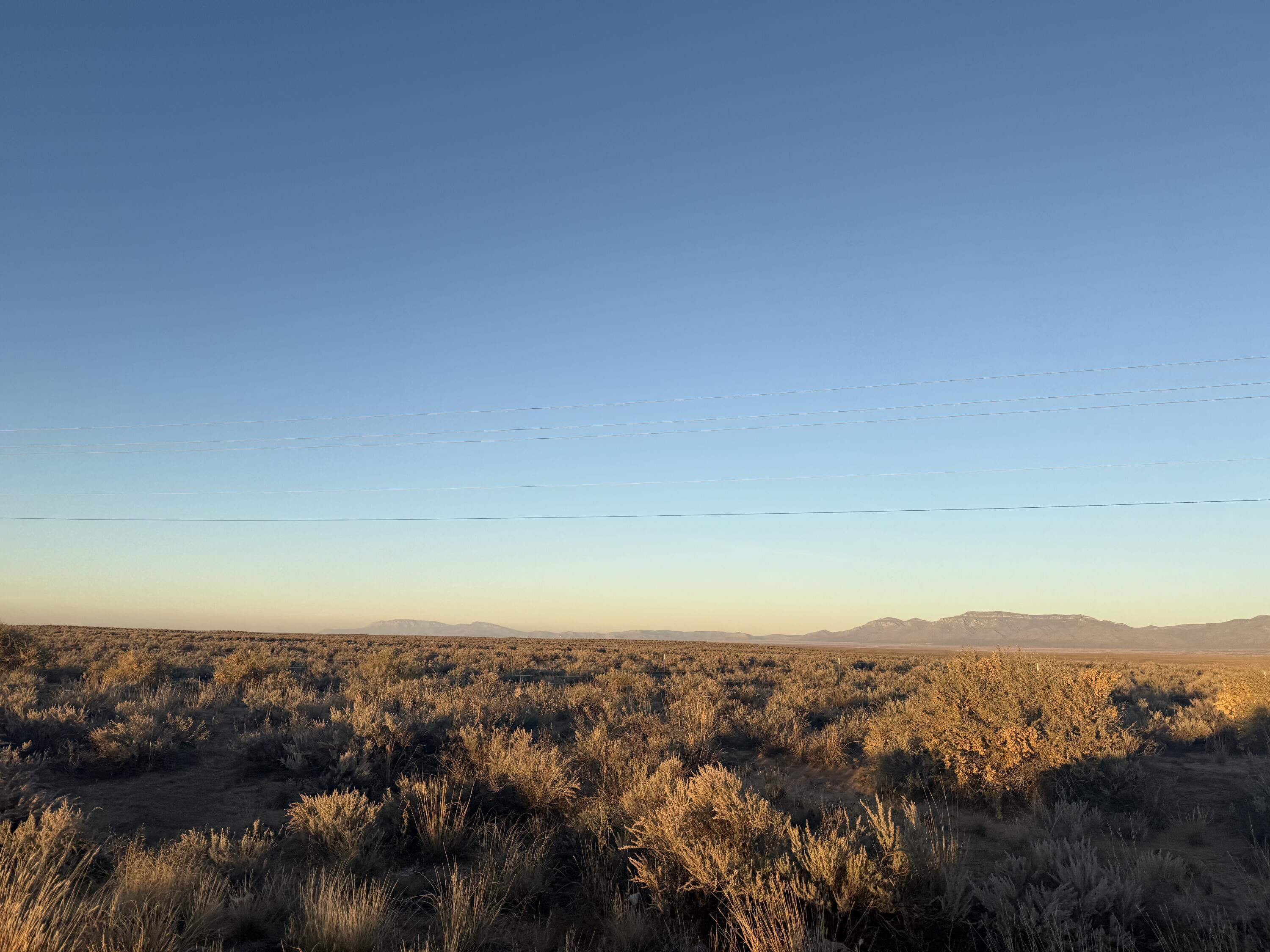 Photo 4 — Block 1415 Rio Grande Estate Lot 12,13,14