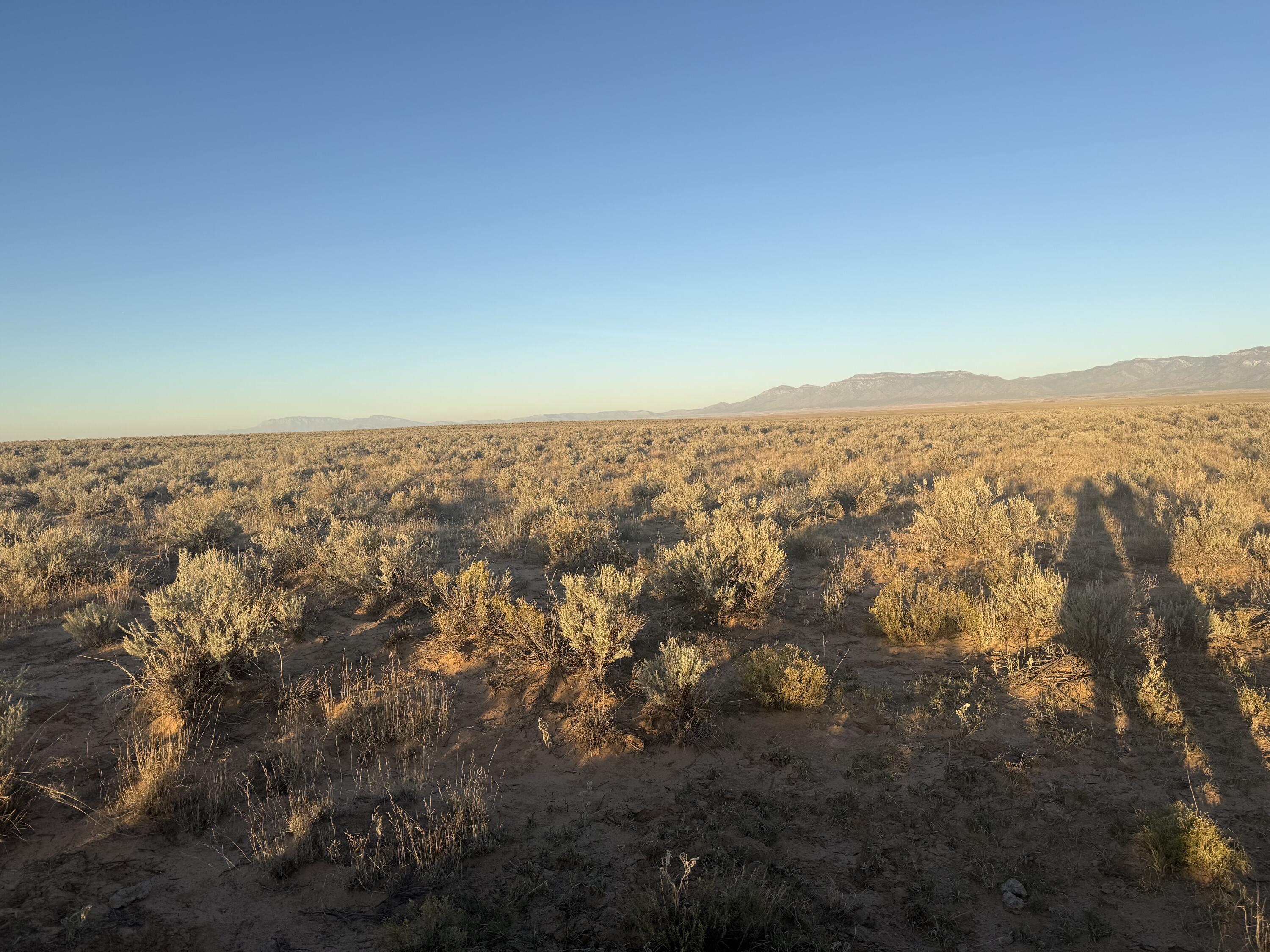 Photo 6 — Block 1415 Rio Grande Estate Lot 12,13,14
