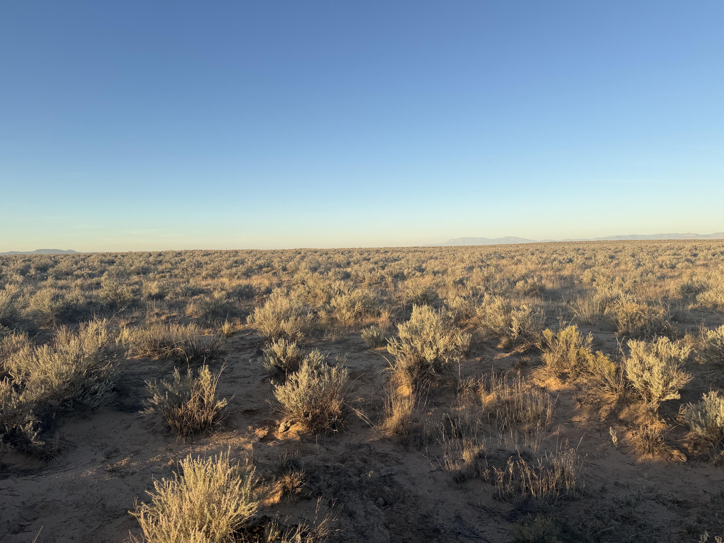 Photo 7 — Block 1415 Rio Grande Estate Lot 12,13,14