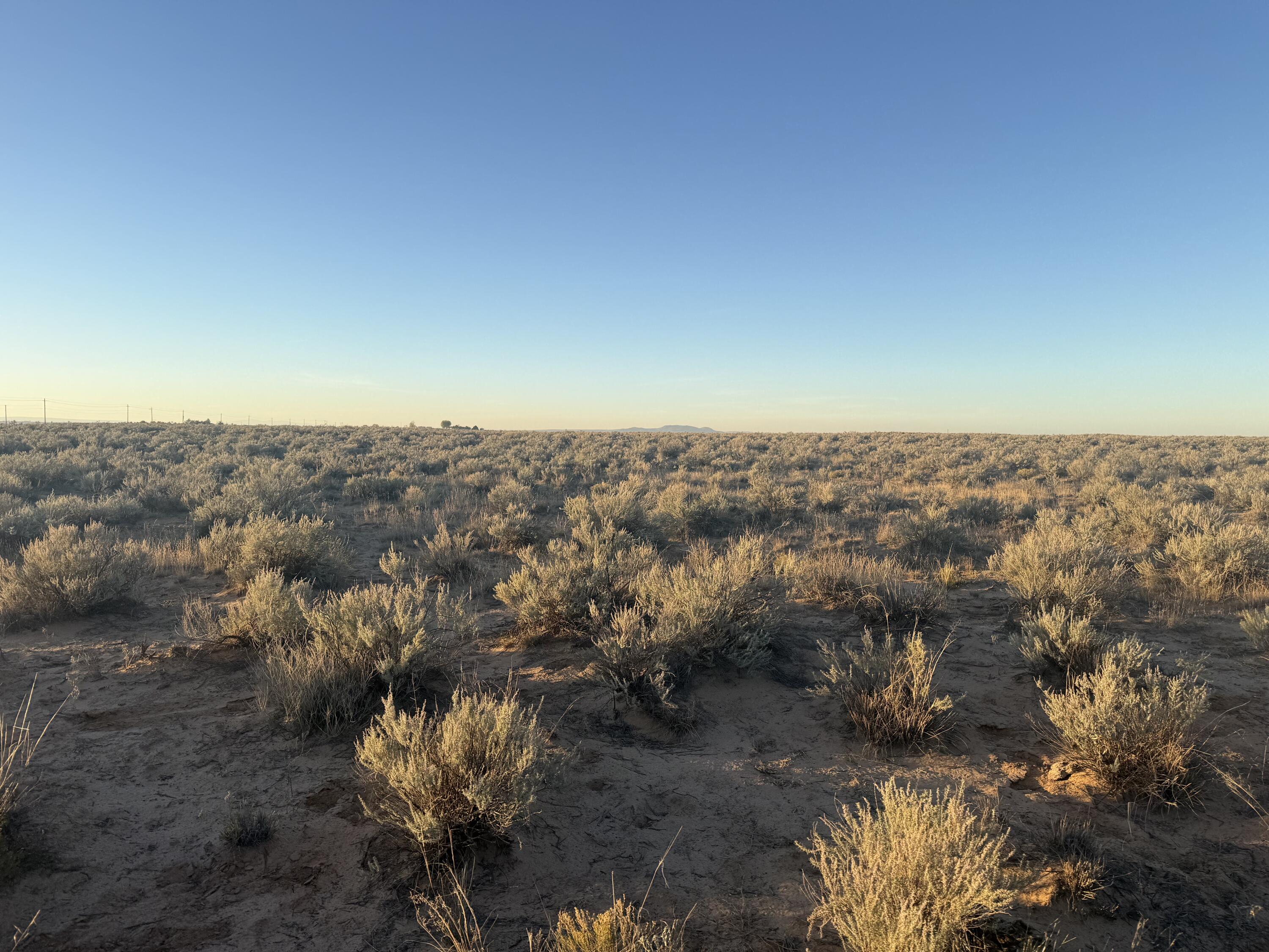 Photo 8 — Block 1415 Rio Grande Estate Lot 12,13,14